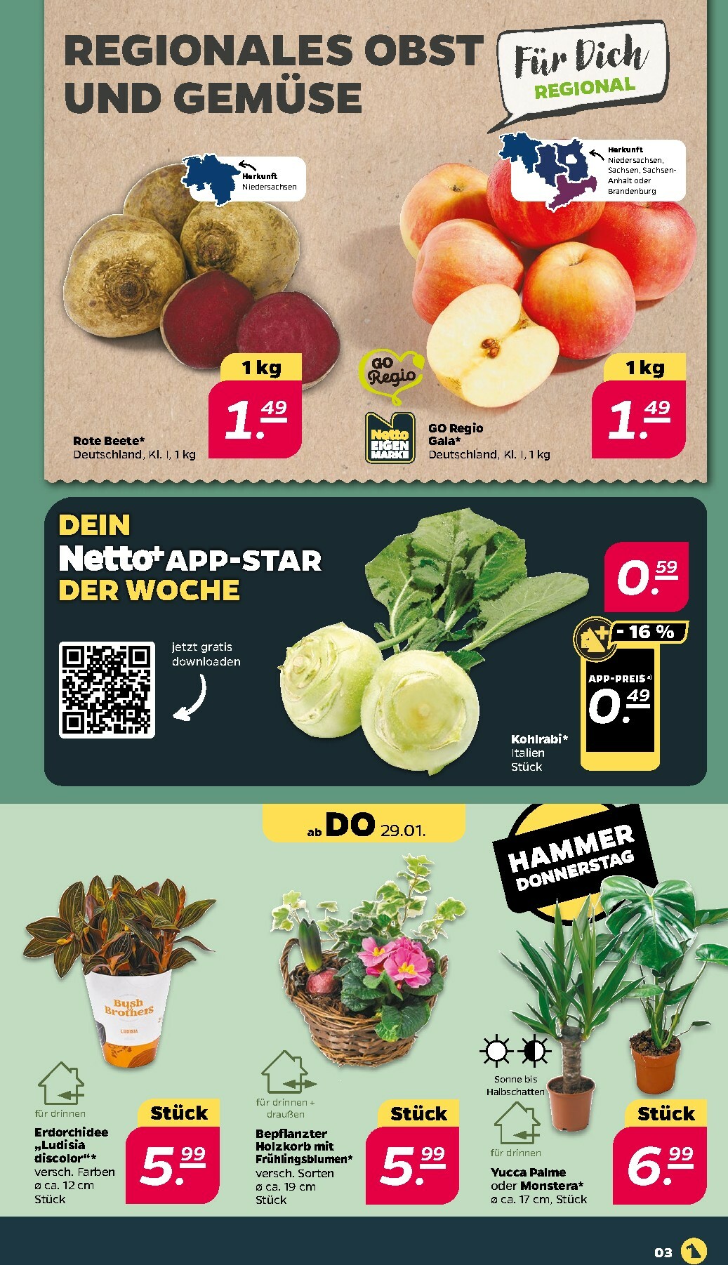 netto - Netto-Prospekt gültig vom 26.01. bis 31.01. - page: 3
