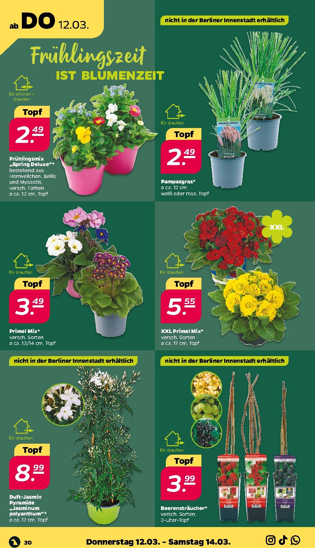 netto - Netto-Prospekt gültig vom 09.03.2026 bis 14.03.2026 - page: 36