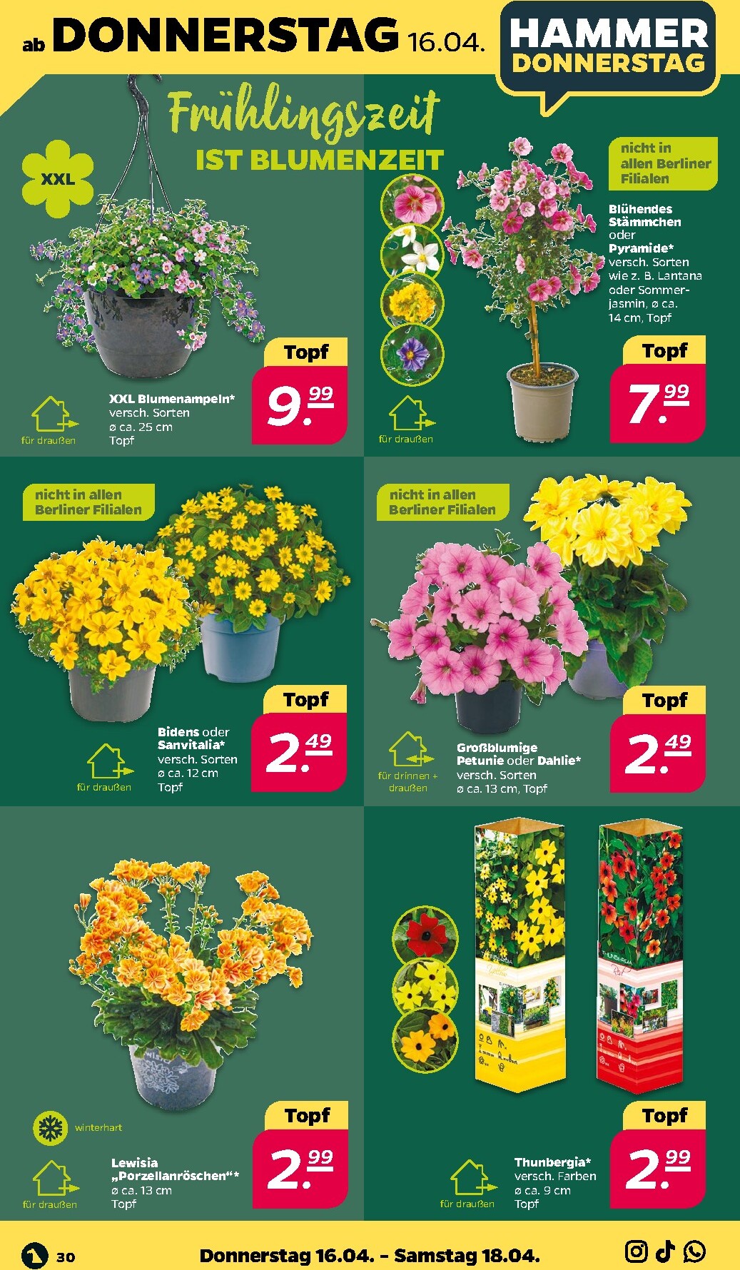 netto - Netto Prospekt nächste Woche – gültig vom Montag 13.04.2026 bis Samstag 18.04.2026 - page: 34