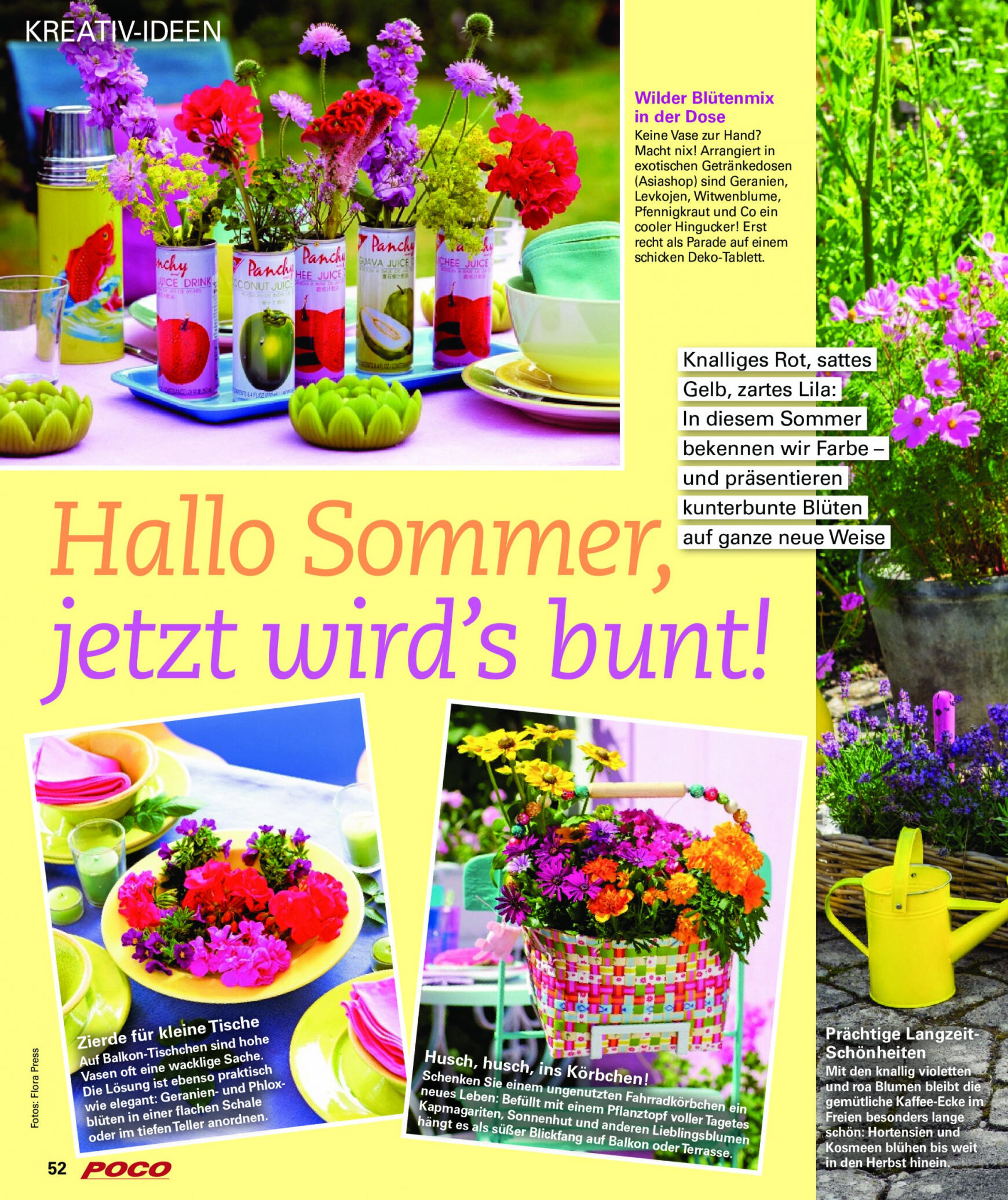 poco - Flyer Poco - Wohnwelt Sommer 2024 aktuell 24.06. - 01.09. - page: 52