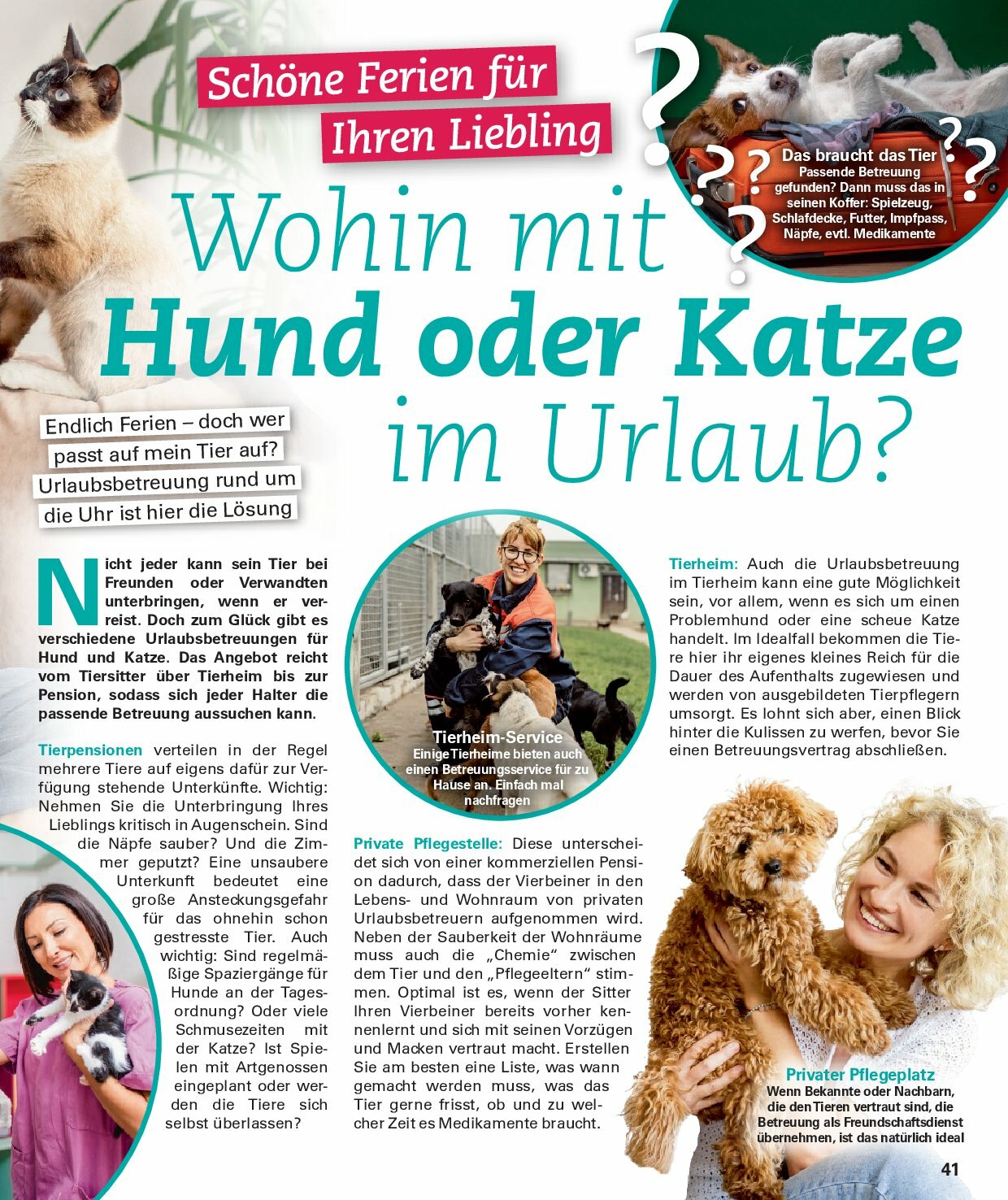 poco - Poco - Sommer Wohnwelt-Prospekt gültig vom 23.06. bis 31.08. - page: 41 poco - Poco - Sommer Wohnwelt-Prospekt gültig vom 23.06. bis 31.08. - page: 41