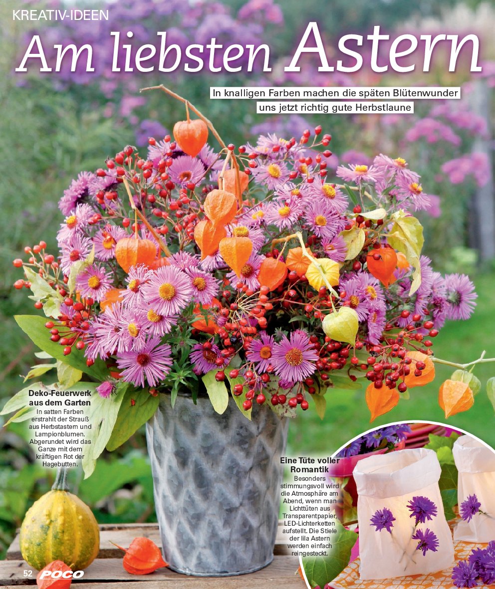 poco - Poco - Wohnwelt Herbst-Prospekt gültig vom 01.09. bis 30.11. - page: 52