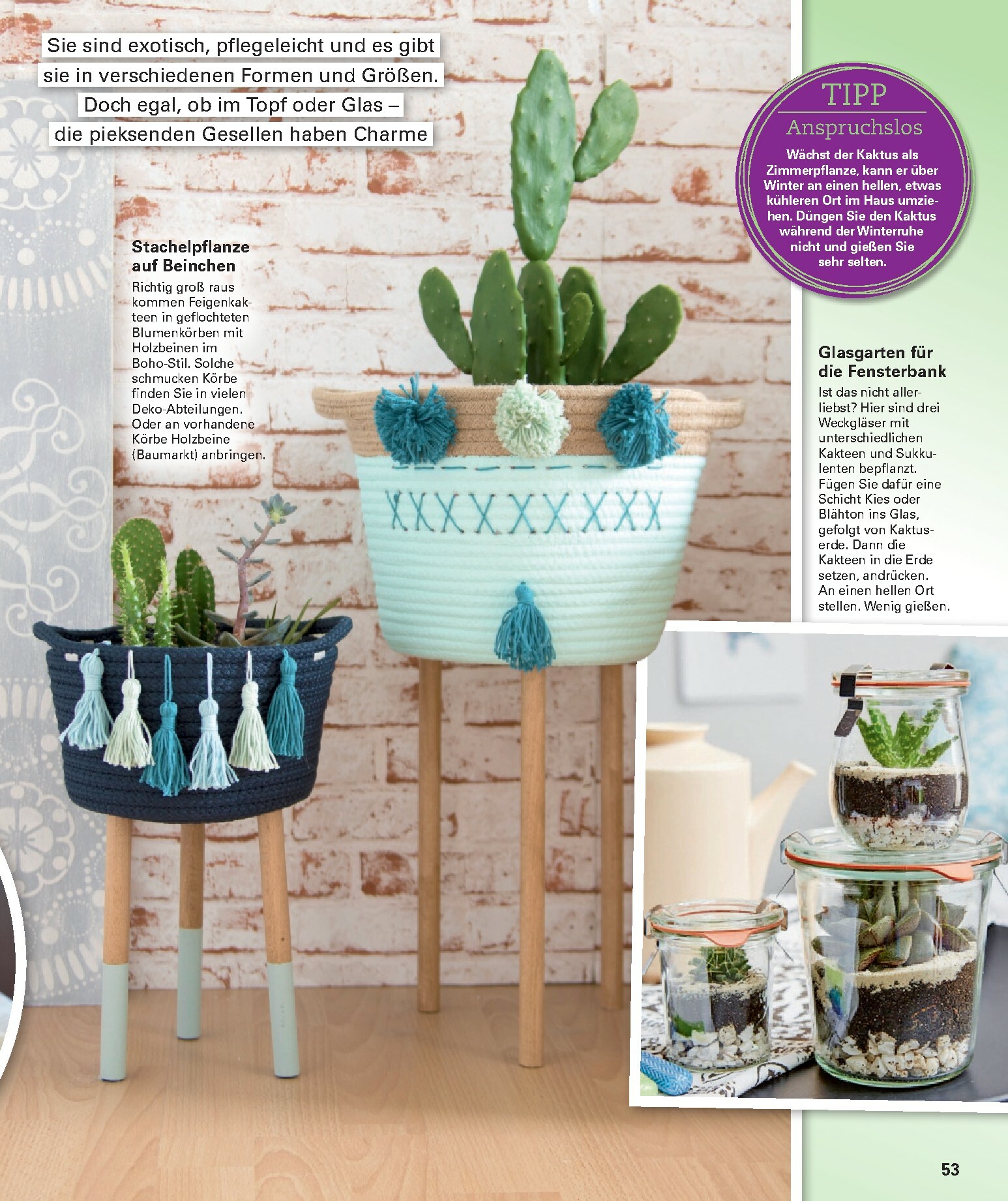 poco - Poco - Winter-Prospekt gültig vom 01.12. bis 15.02. - page: 53