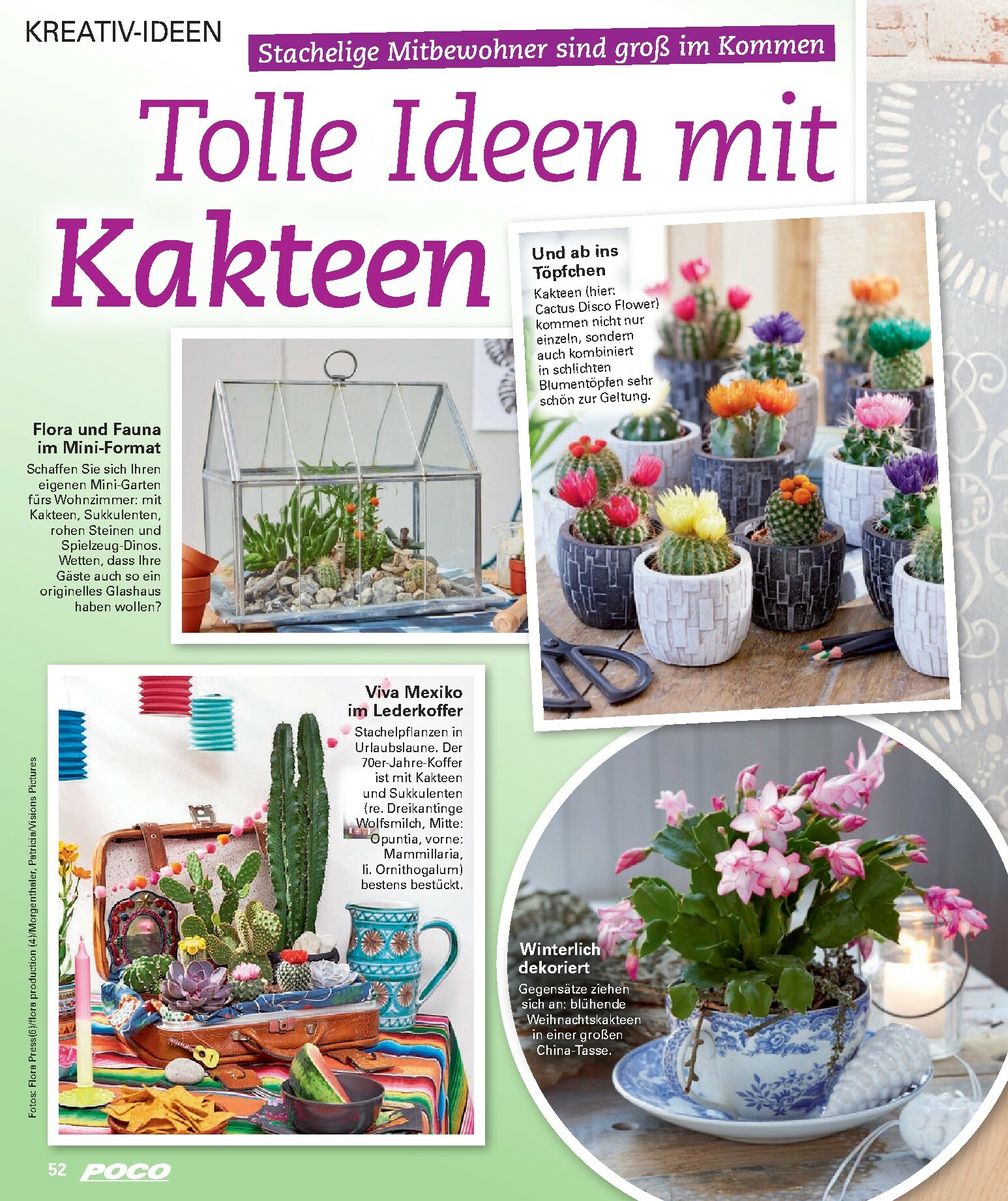 poco - Poco - Winter-Prospekt gültig vom 01.12. bis 15.02. - page: 52