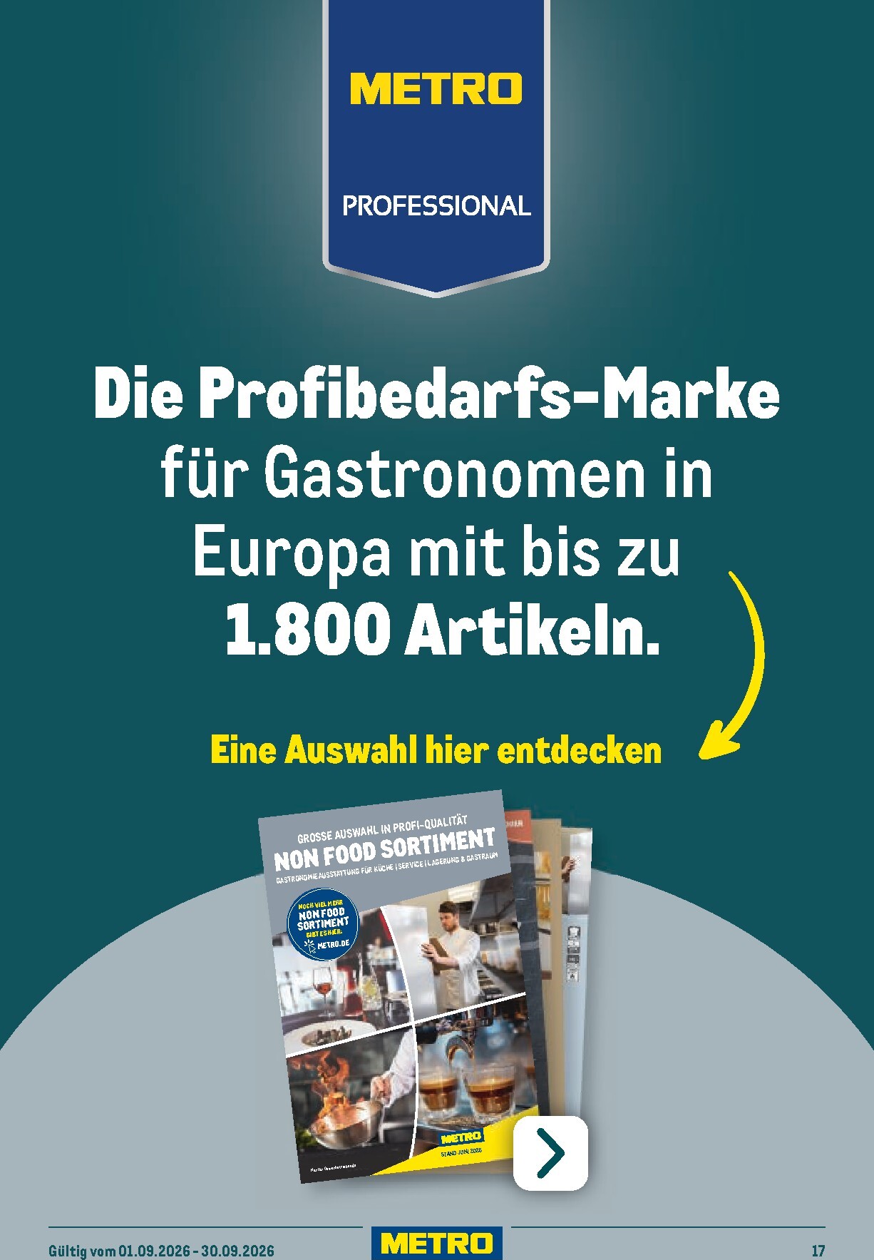 metro - Metro - Non-Food Flyer Prospekt – von Dienstag 01.09.2026 bis Mittwoch 30.09.2026 - page: 17