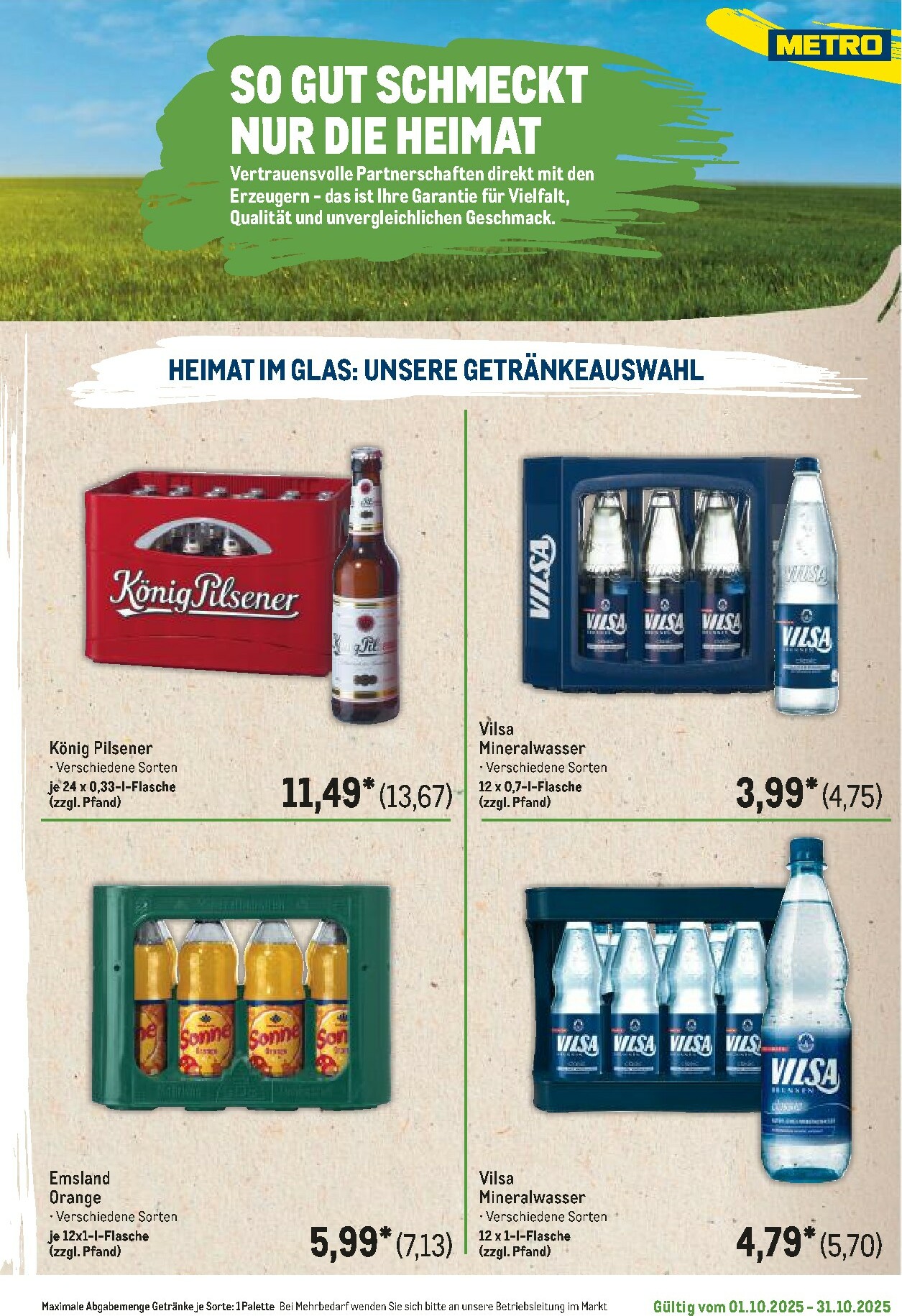metro - Metro - Regionaler Flyer-Prospekt gültig vom 01.10. bis 31.10. - page: 33