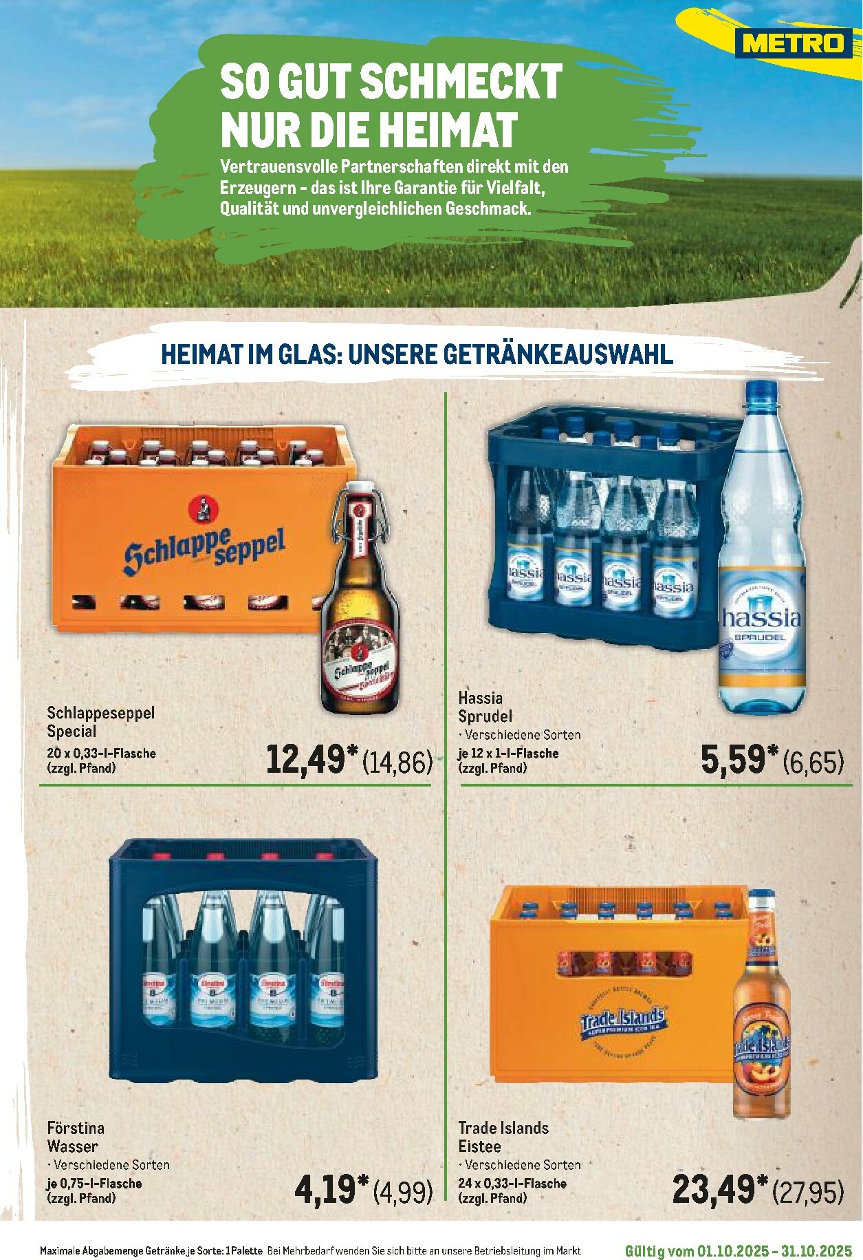 metro - Metro - Regionaler Flyer-Prospekt gültig vom 01.10. bis 31.10. - page: 61