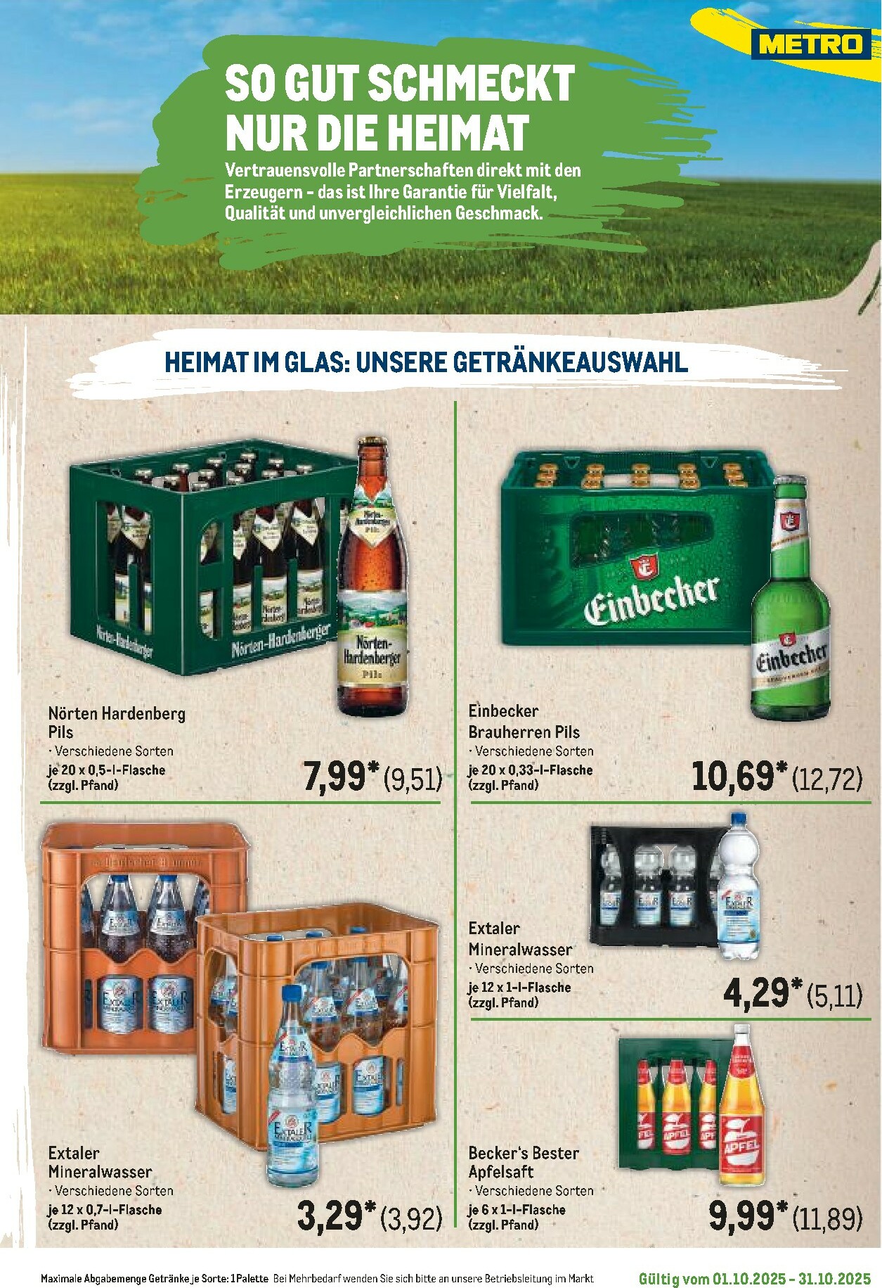 metro - Metro - Regionaler Flyer-Prospekt gültig vom 01.10. bis 31.10. - page: 41