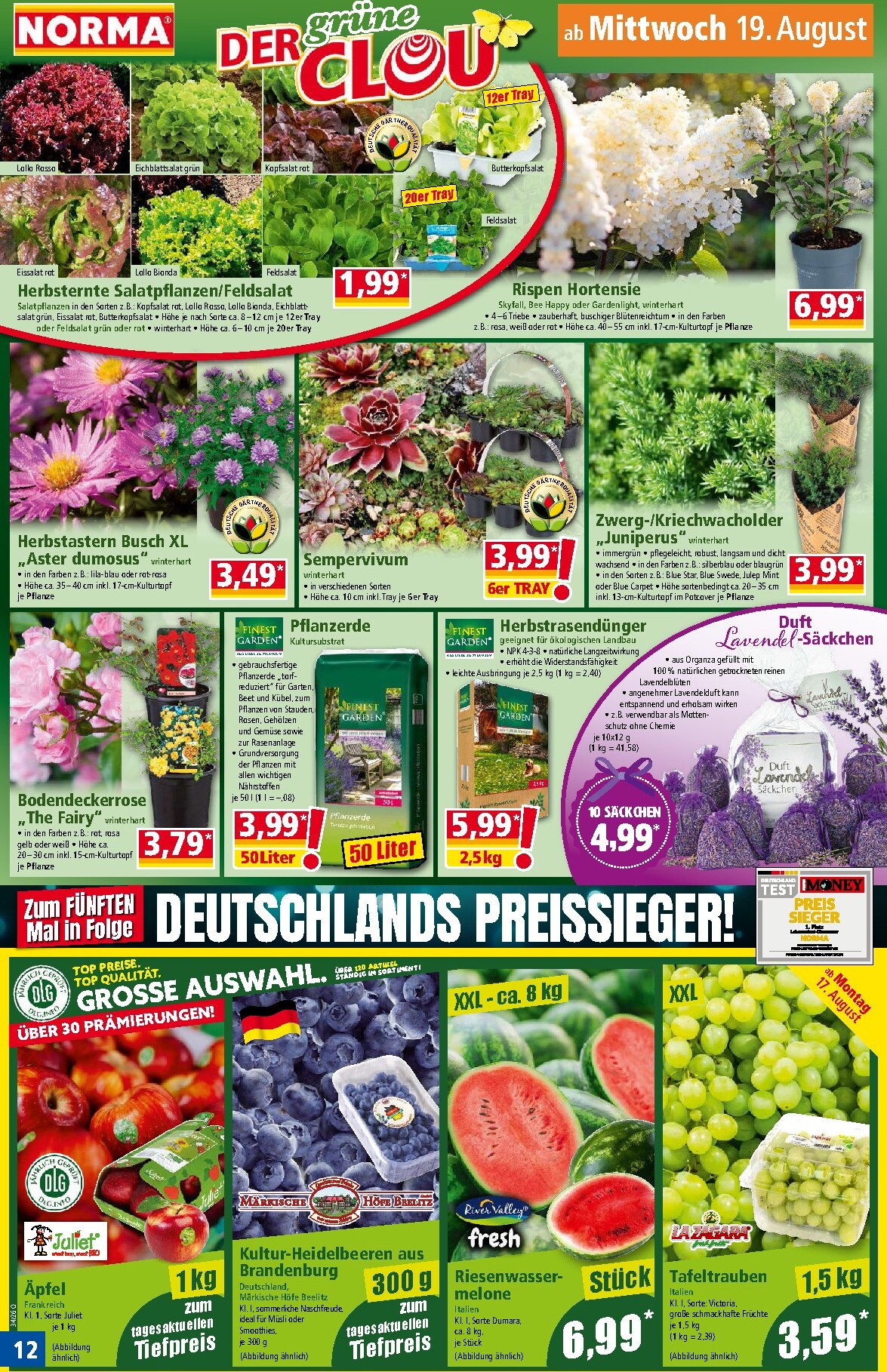 norma - Norma Prospekt nächste Woche – von Montag 17.08.2026 bis Samstag 22.08.2026 - page: 12