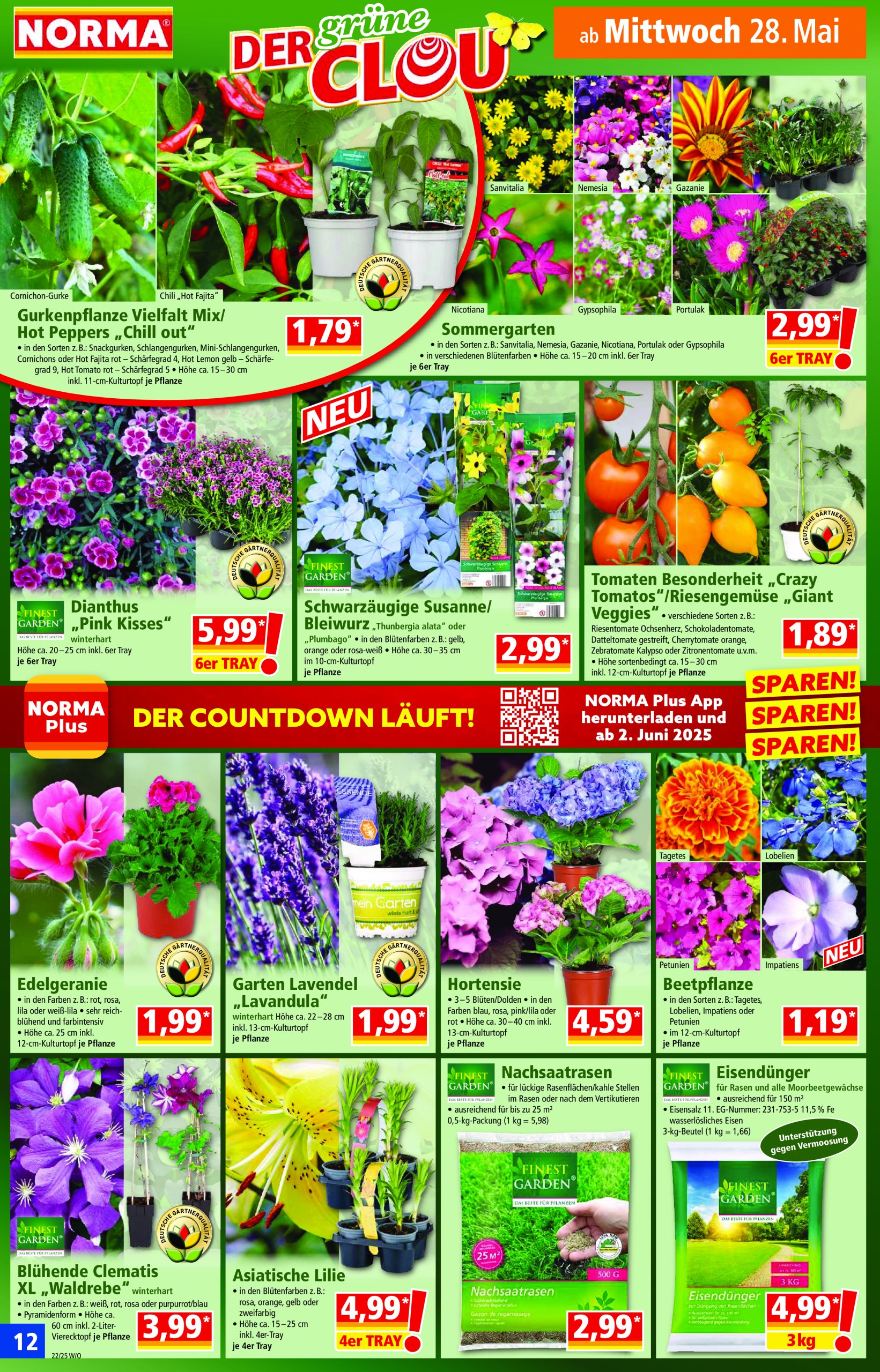 norma - Norma-Prospekt gültig von 26.05. bis 31.05. - page: 12