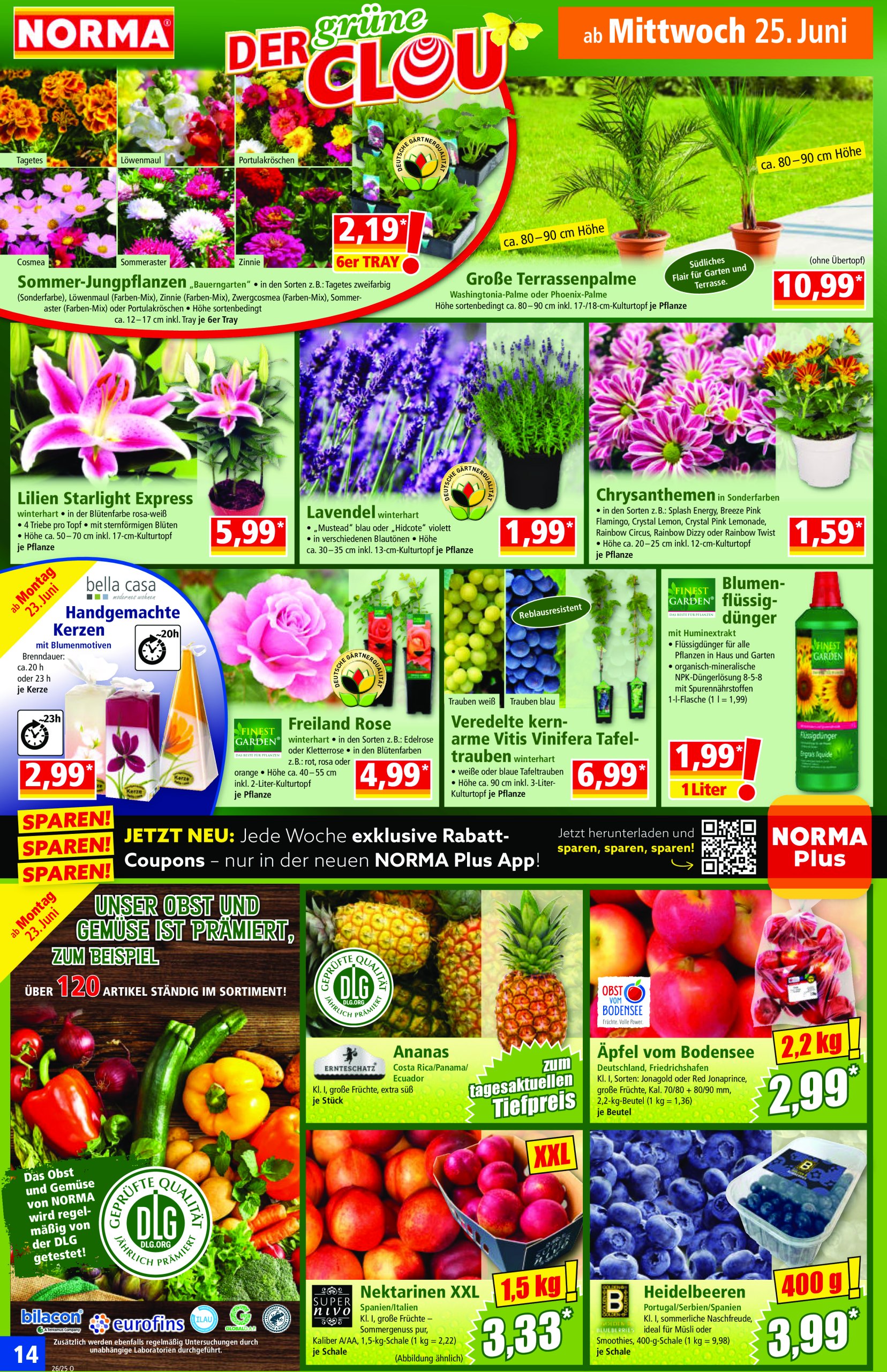 norma - Norma-Prospekt gültig vom 23.06. bis 28.06. - page: 15