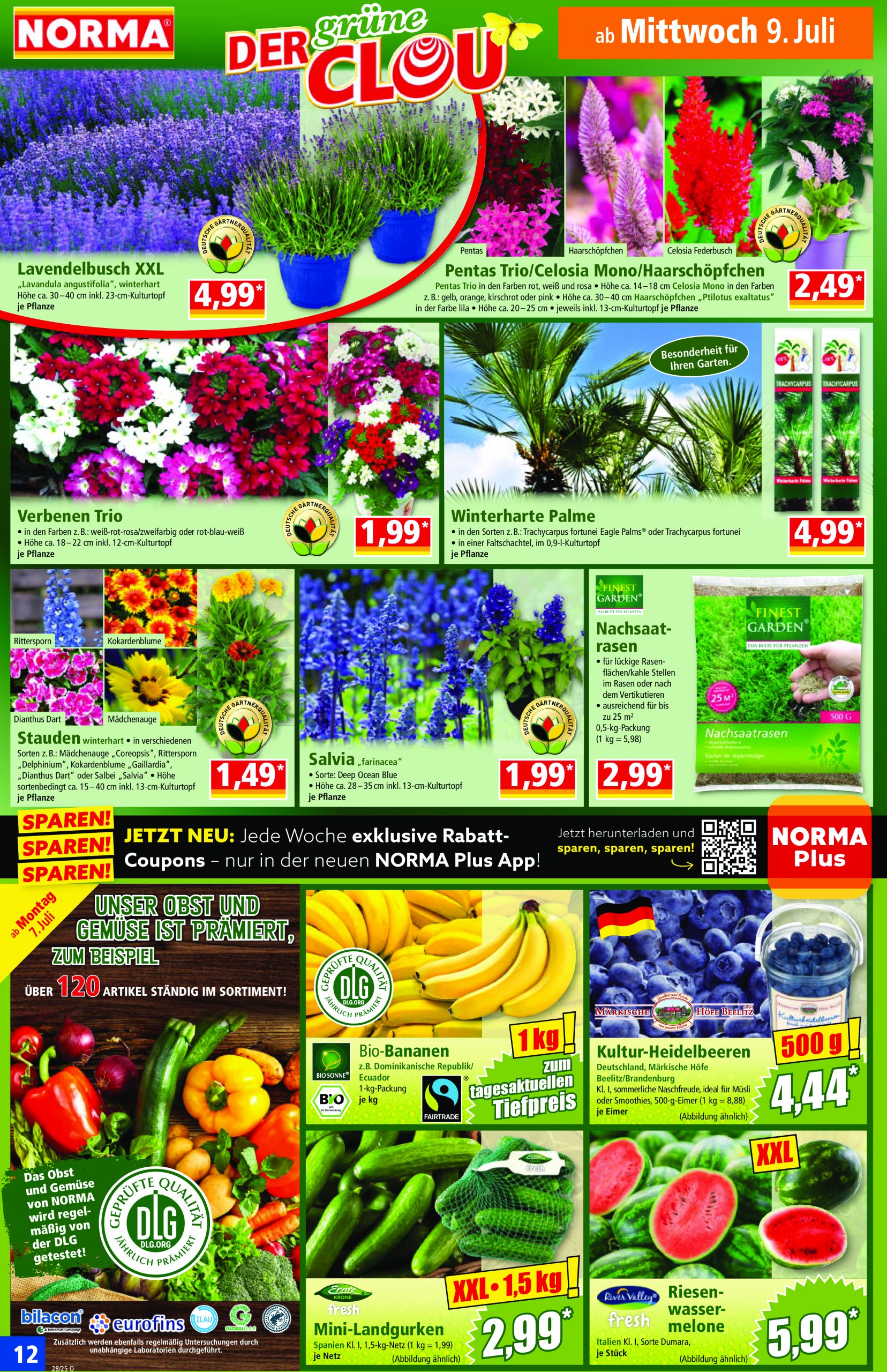 norma - Norma-Prospekt gültig vom 07.07. bis 12.07. - page: 13