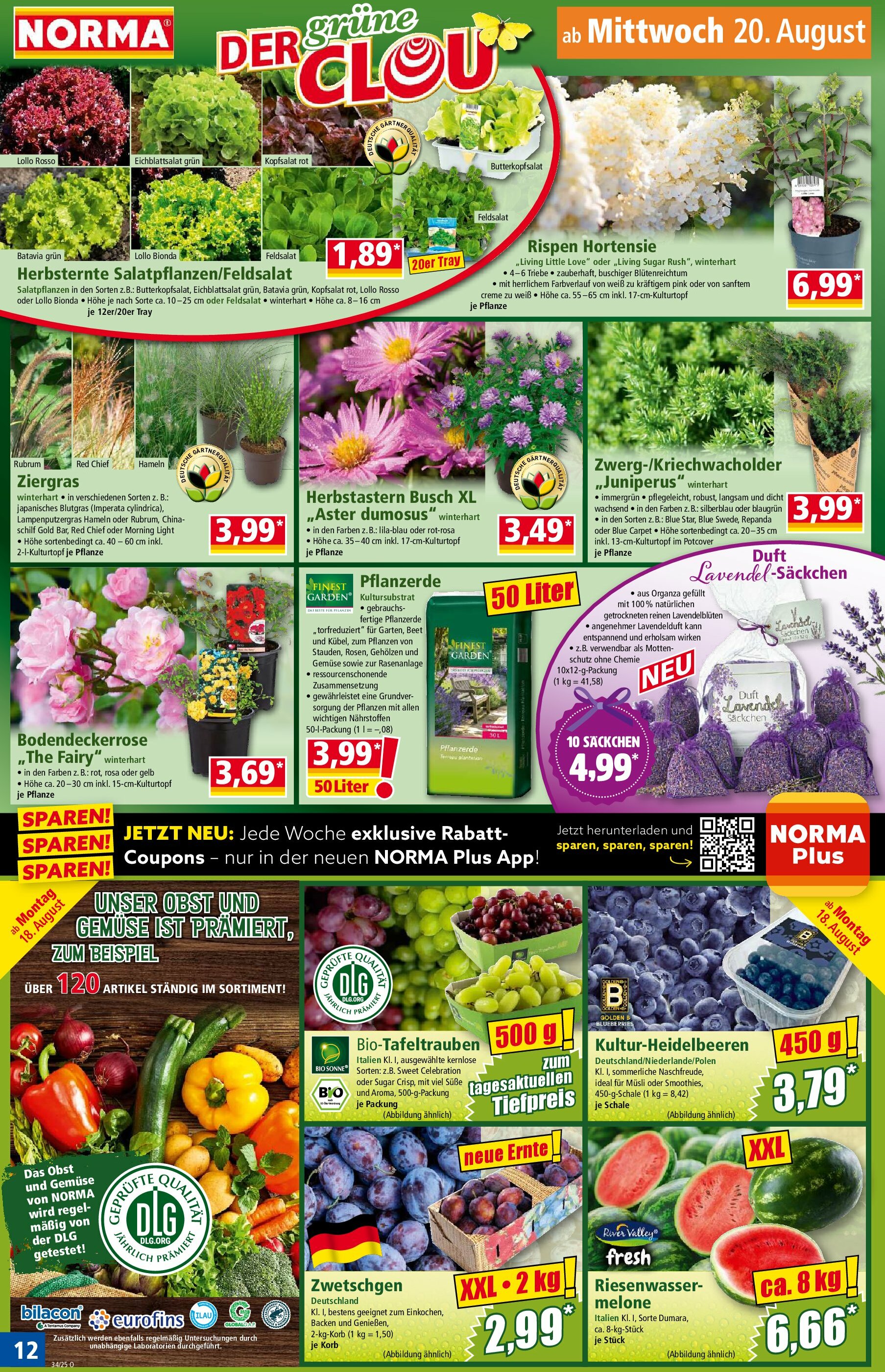 norma - Norma-Prospekt gültig vom 18.08. bis 23.08. - page: 12