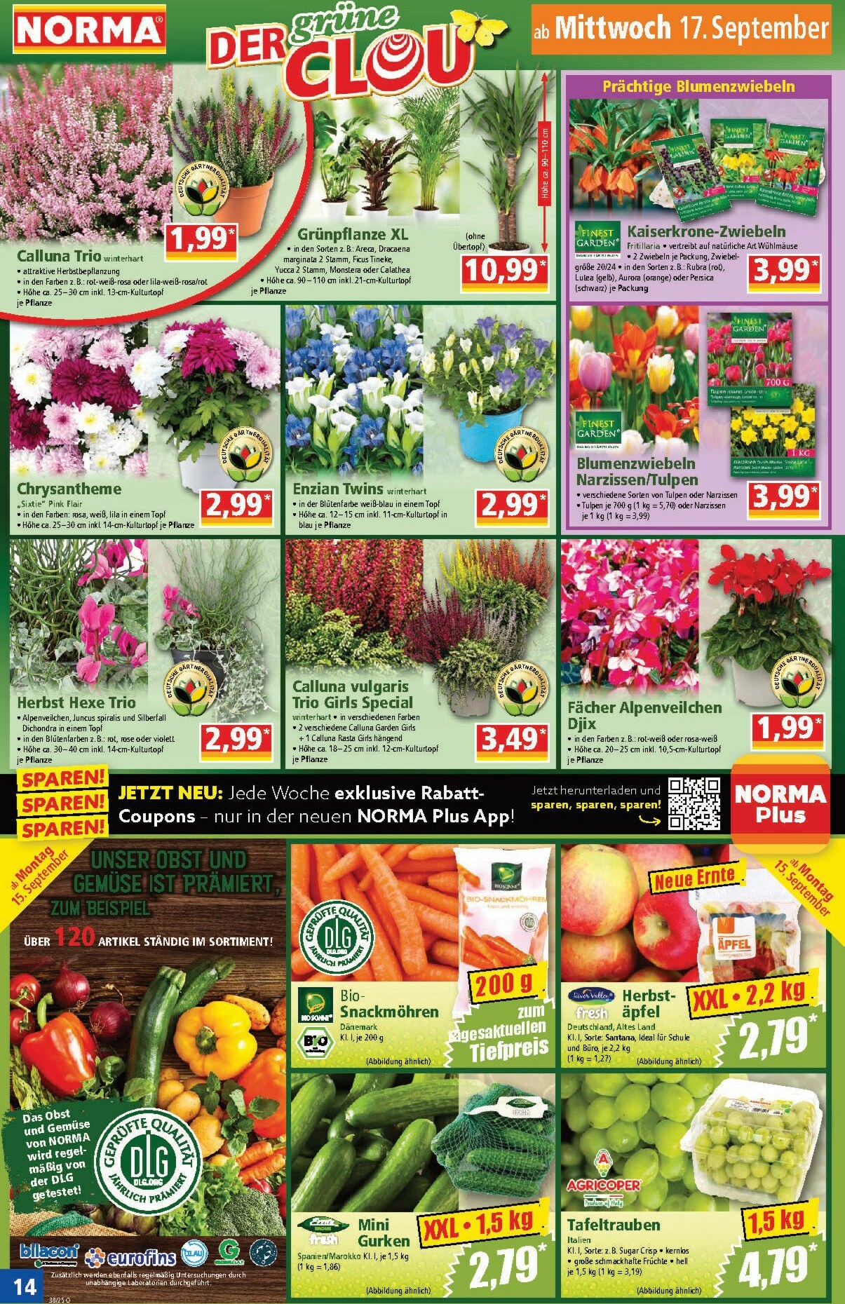 norma - Norma-Prospekt gültig vom 15.09. bis 20.09. - page: 14