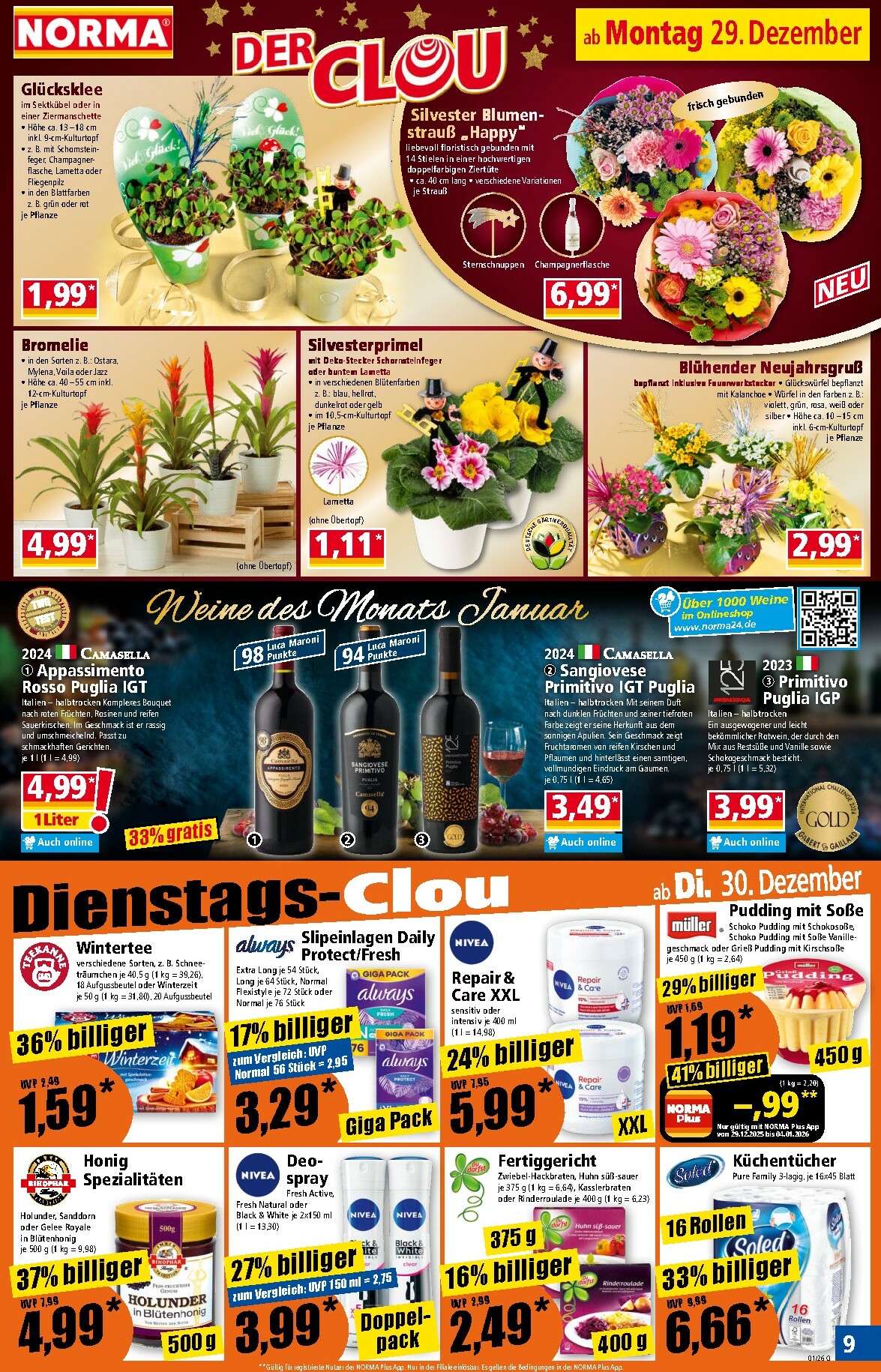 norma - Norma-Prospekt gültig vom 29.12. bis 03.01. - page: 15