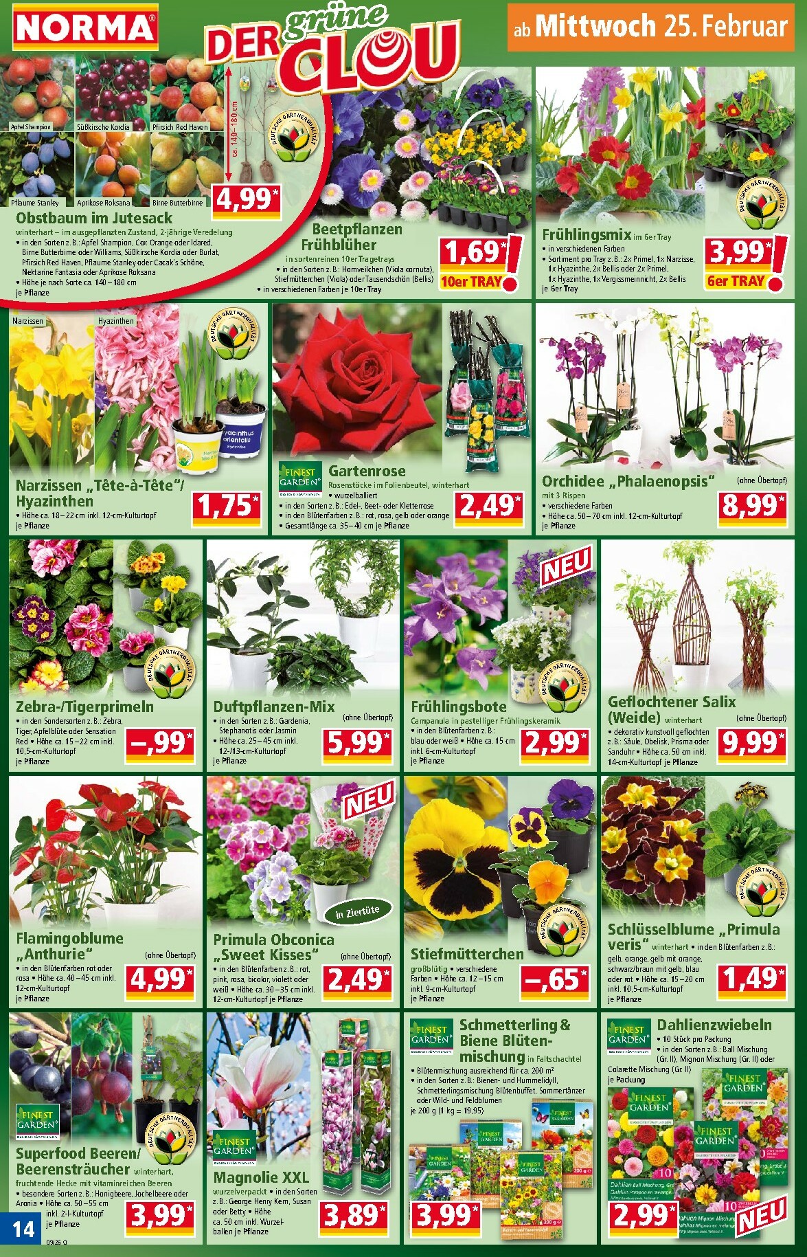 norma - Norma-Prospekt gültig vom 23.02.2026 bis 28.02.2026 - page: 14