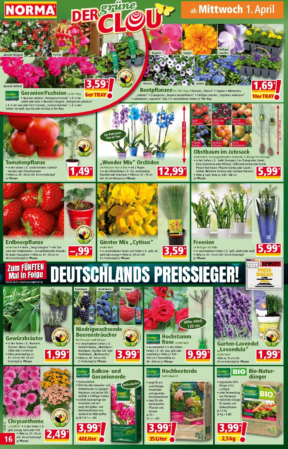 norma - Norma-Prospekt gültig vom 30.03.2026 bis 04.04.2026 - page: 17