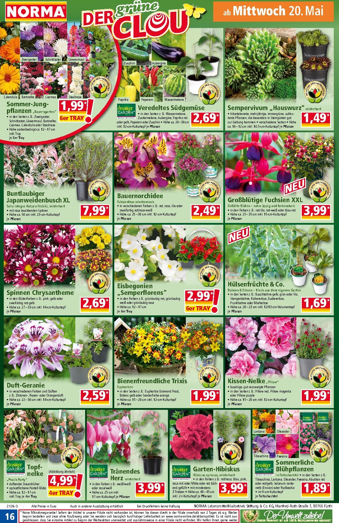 norma - Norma Prospekt nächste Woche – von Montag 18.05.2026 bis Samstag 23.05.2026 - page: 16