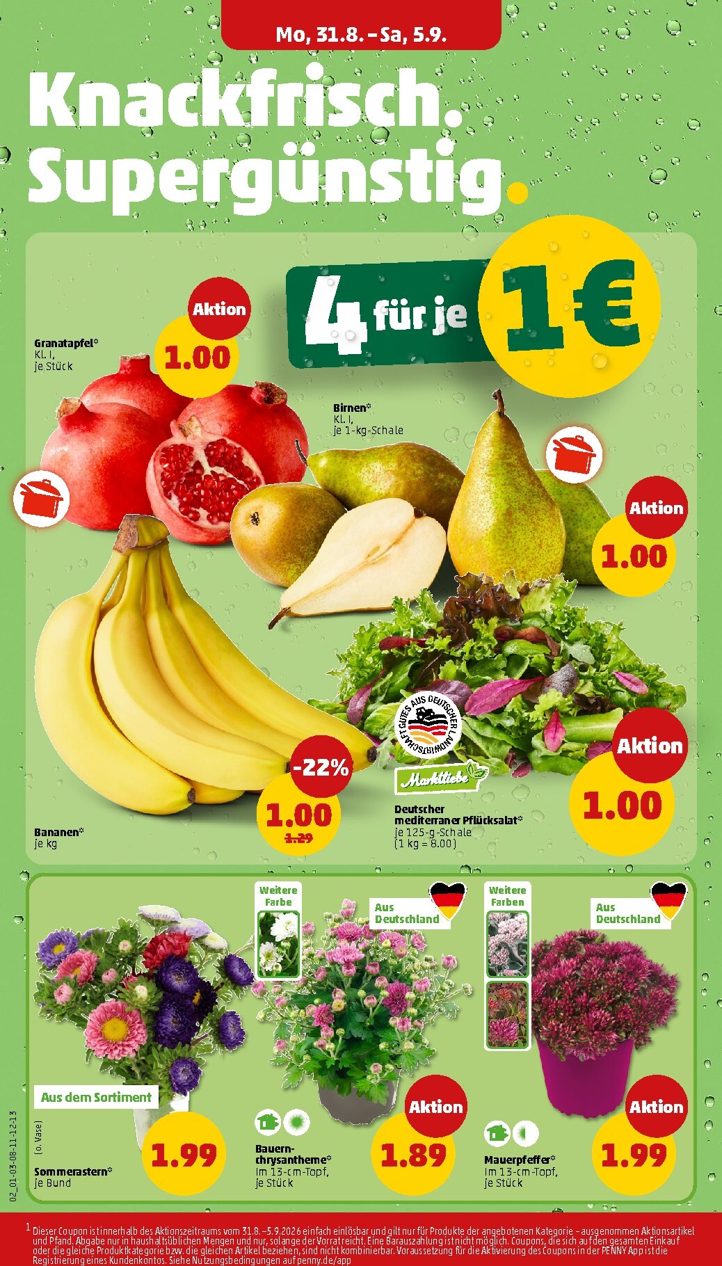 penny - PENNY Prospekt nächste Woche – von Montag 31.08.2026 bis Samstag 05.09.2026 - page: 4