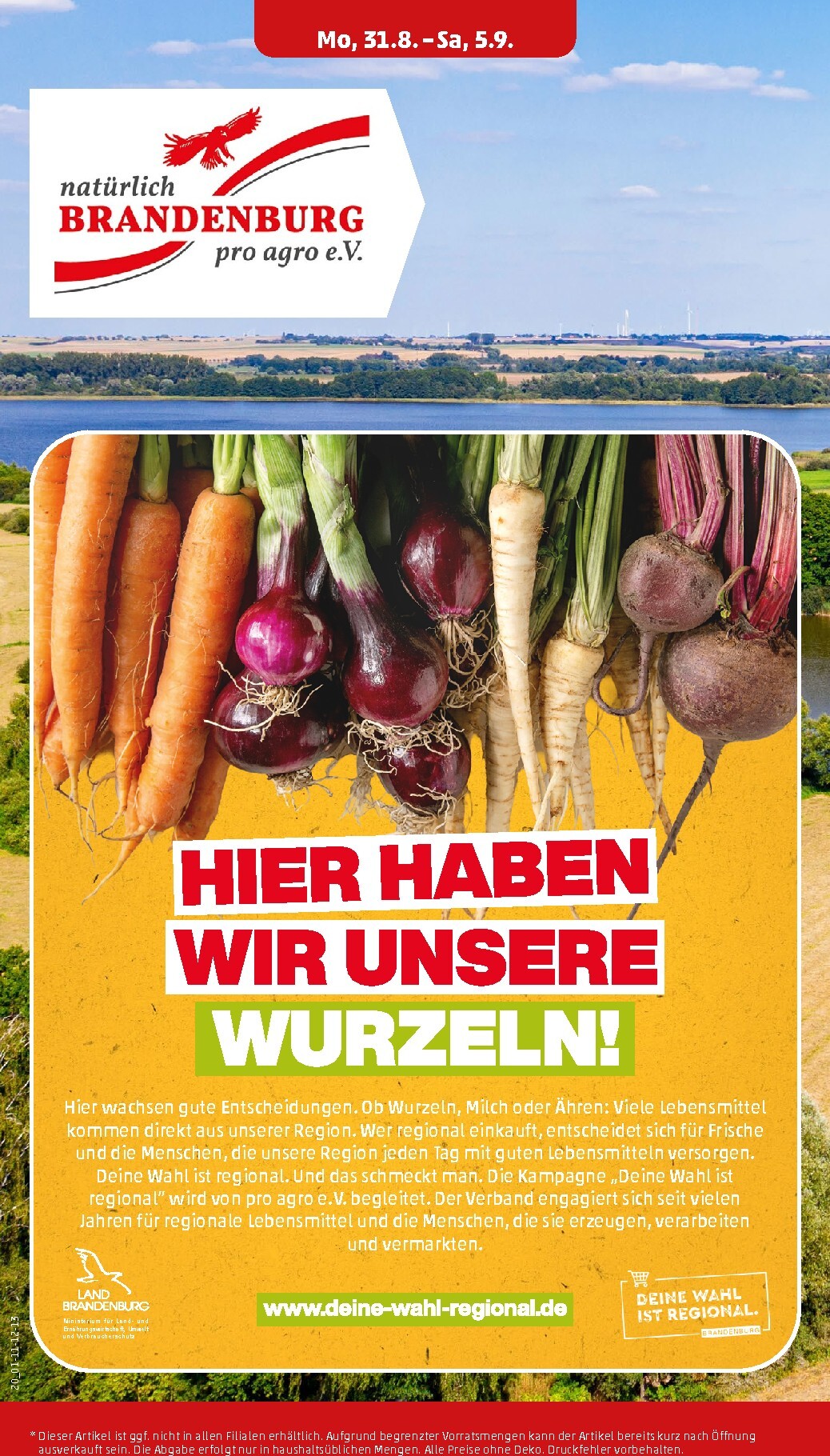 penny - PENNY Prospekt nächste Woche – von Montag 31.08.2026 bis Samstag 05.09.2026 - page: 24