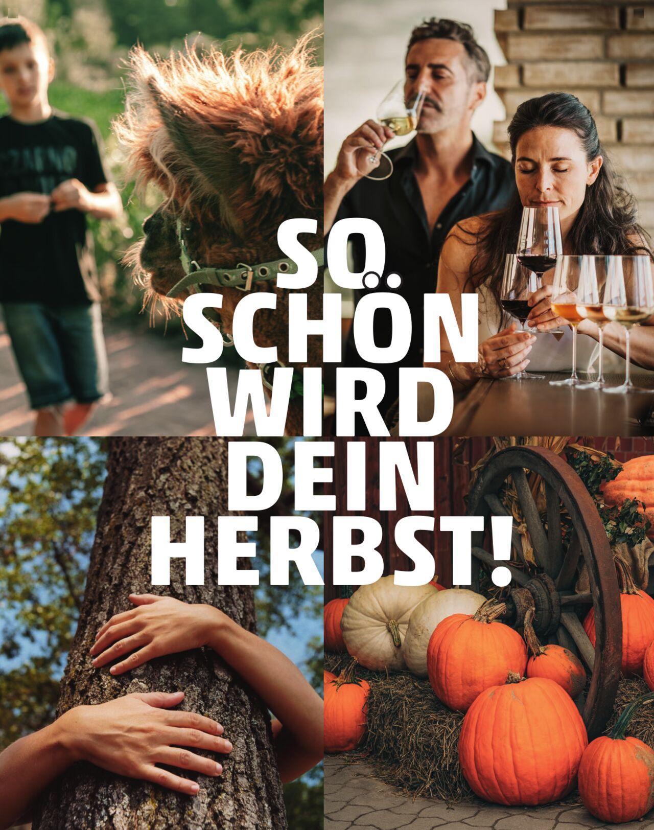 penny - Penny Kundenmagazin Herbst 2024 - page: 62