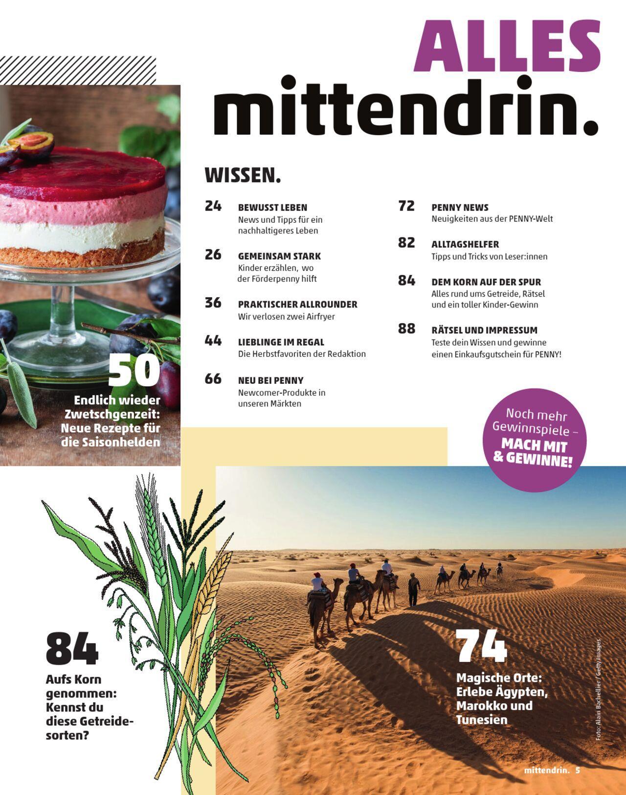 penny - Penny Kundenmagazin Herbst 2024 - page: 5