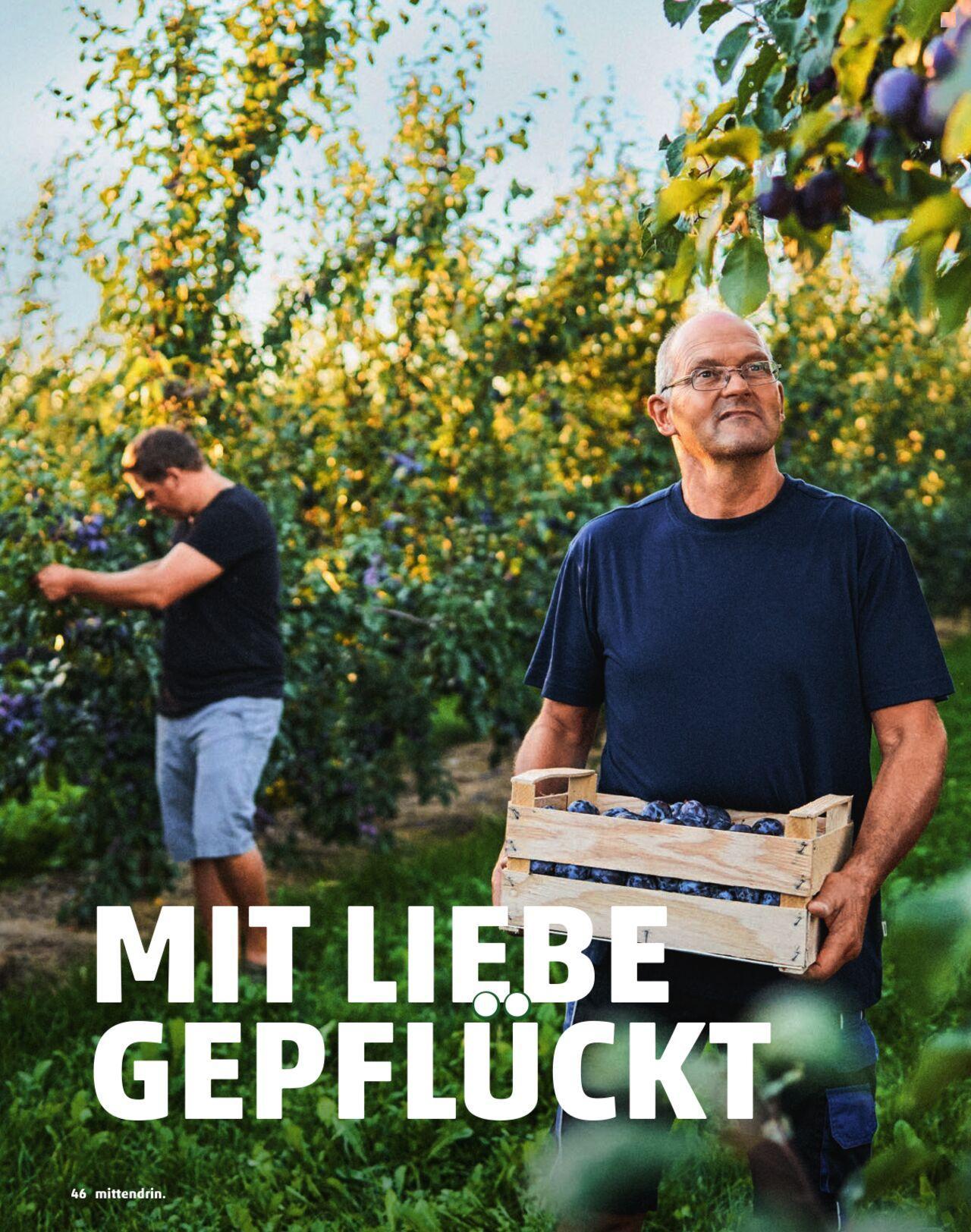 penny - Penny Kundenmagazin Herbst 2024 - page: 46