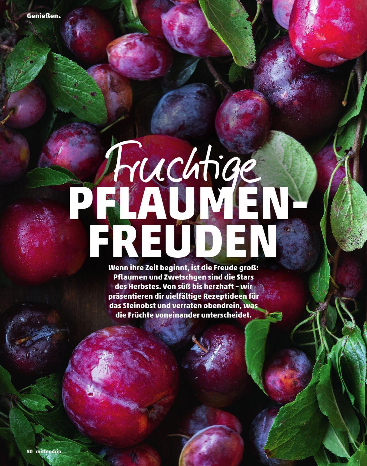 penny - Penny Kundenmagazin Herbst 2024 - page: 50