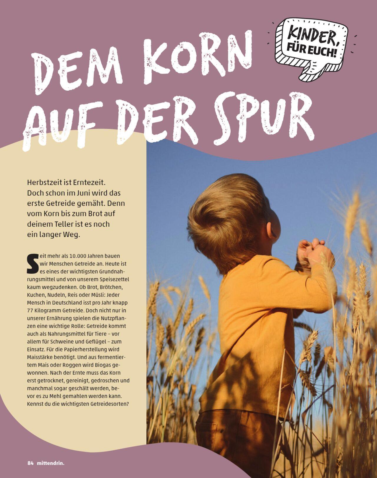 penny - Penny Kundenmagazin Herbst 2024 - page: 84