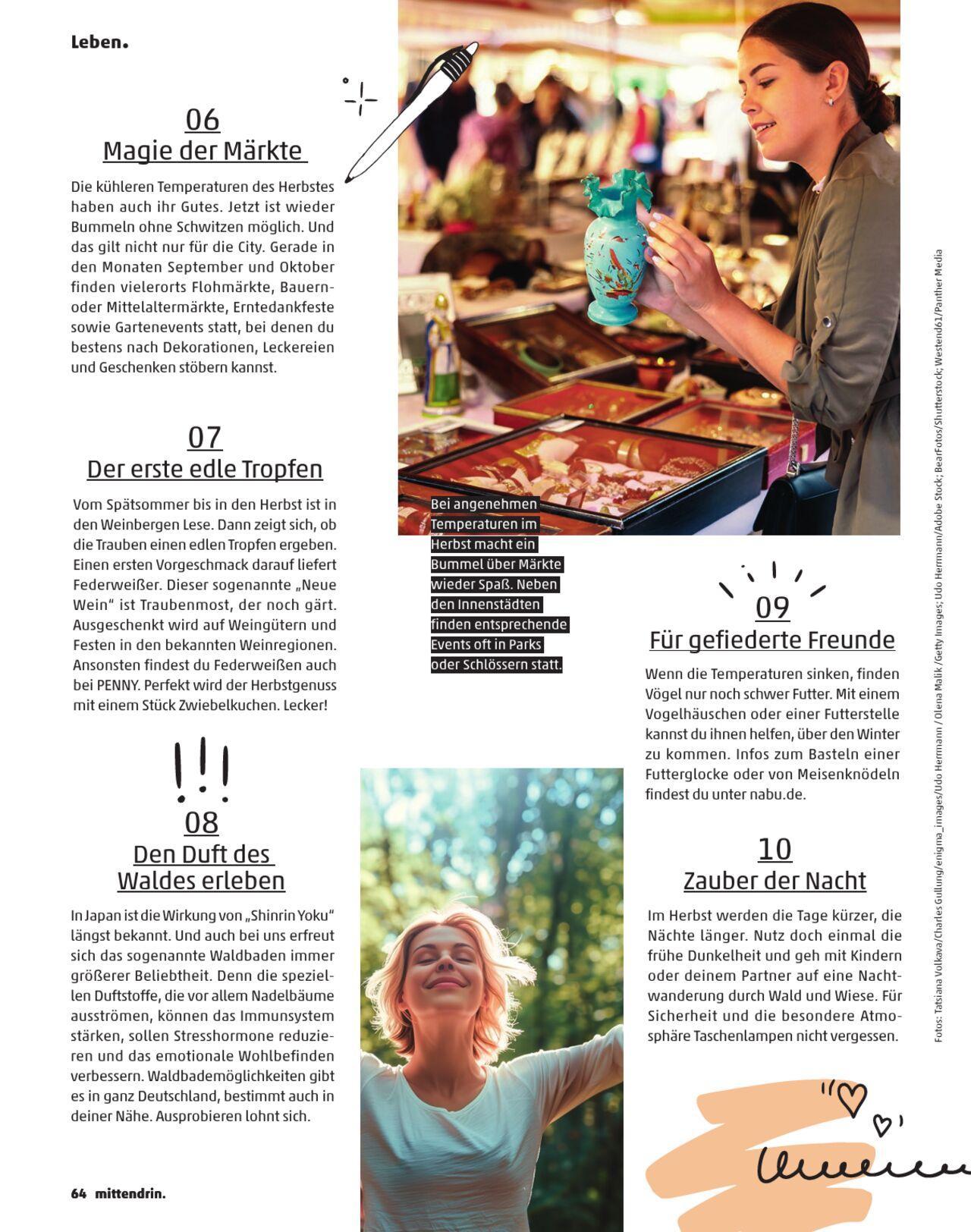 penny - Penny Kundenmagazin Herbst 2024 - page: 64