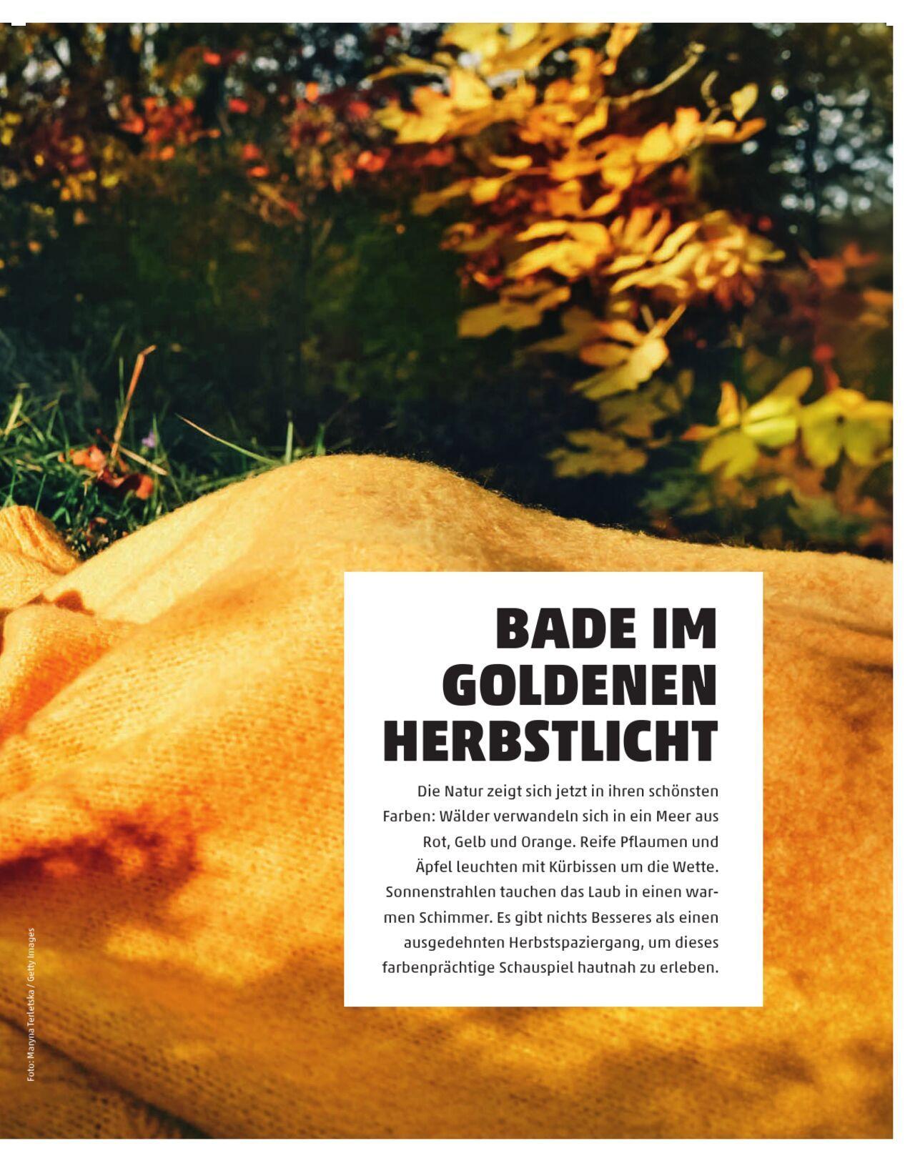 penny - Penny Kundenmagazin Herbst 2024 - page: 7