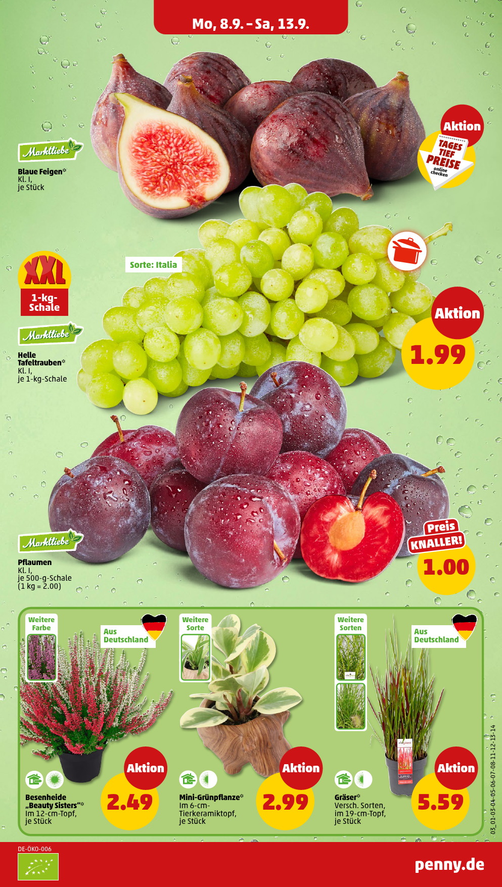 penny - PENNY-Prospekt gültig vom 08.09. bis 13.09. - page: 3