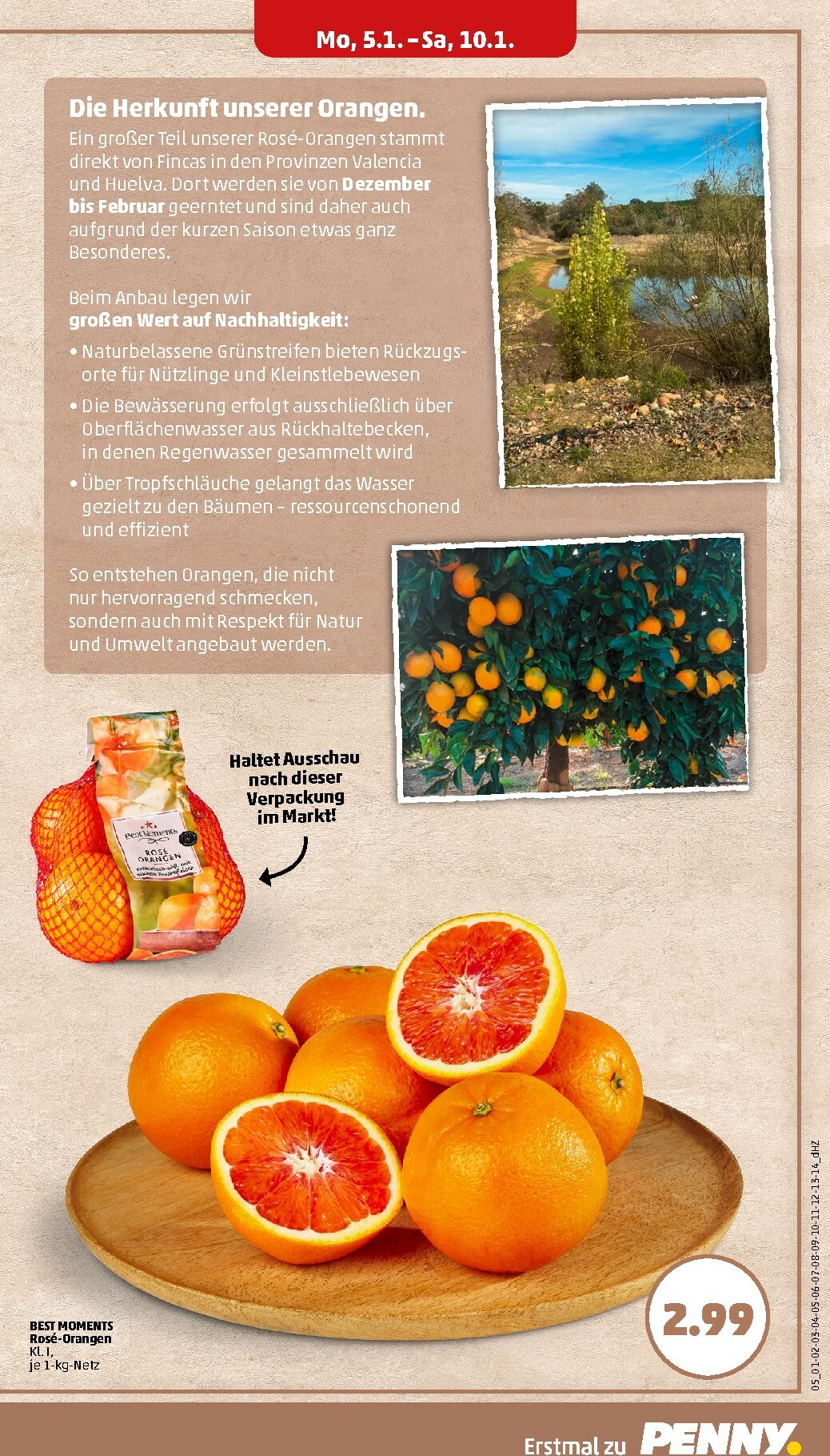 penny - PENNY-Prospekt gültig vom 05.01. bis 10.01. - page: 5