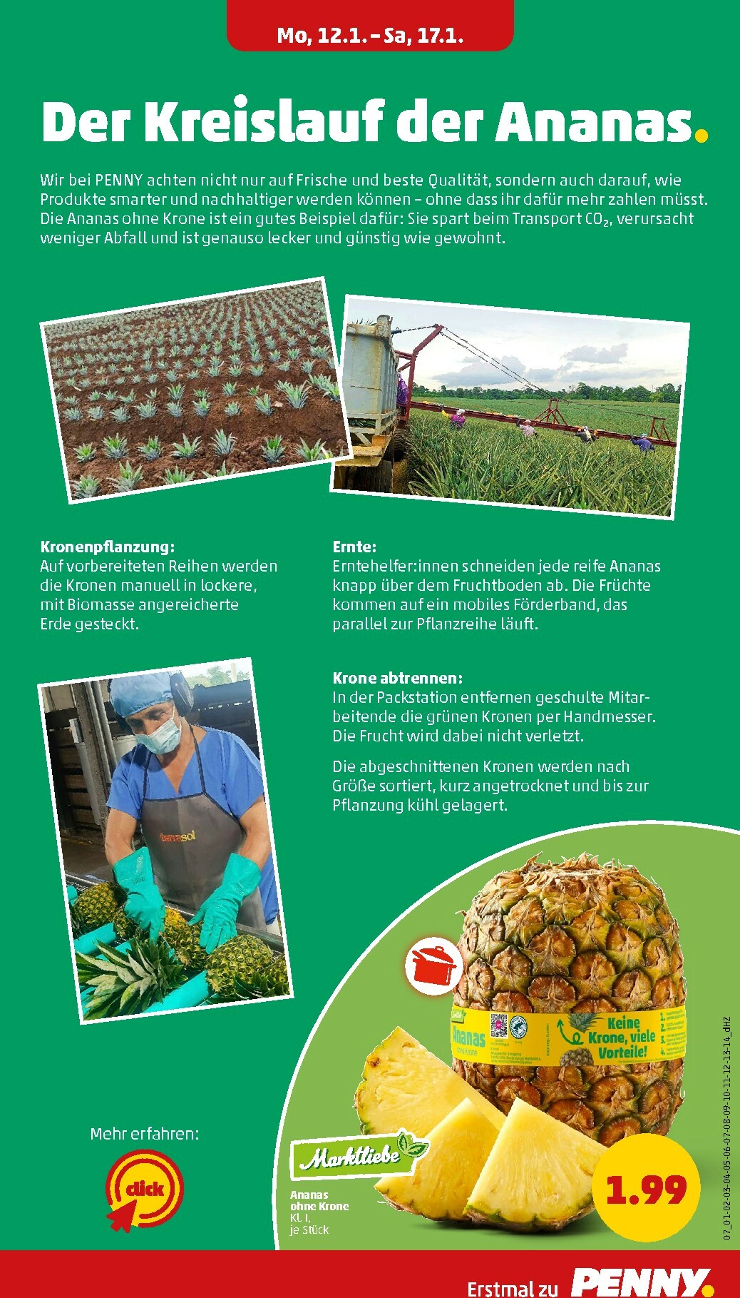 penny - PENNY-Prospekt gültig vom 12.01. bis 17.01. - page: 9