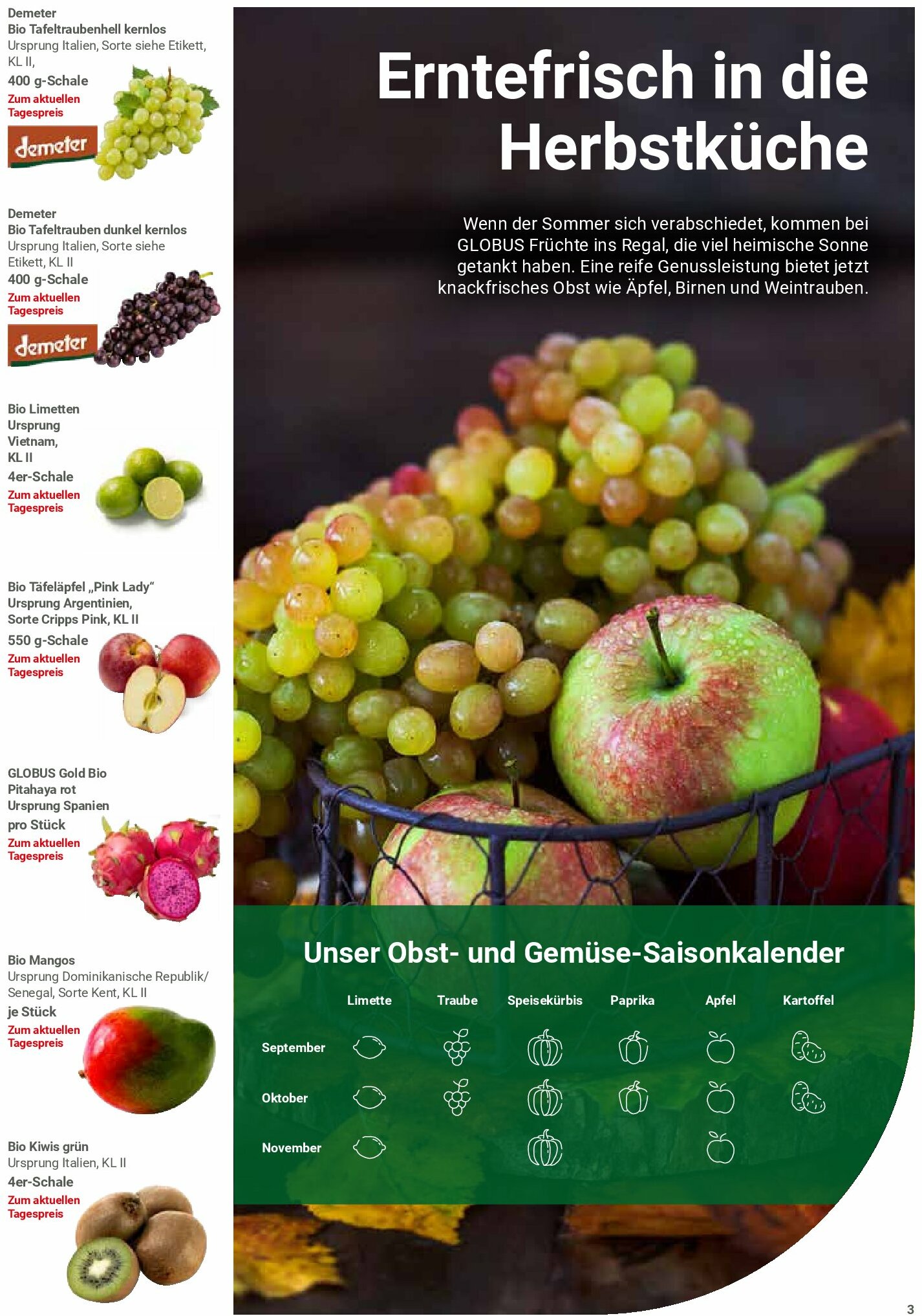 globus - Globus - Dutenhofen-Prospekt gültig vom 01.09. bis 06.09. - page: 33 globus - Globus - Dutenhofen-Prospekt gültig vom 01.09. bis 06.09. - page: 33