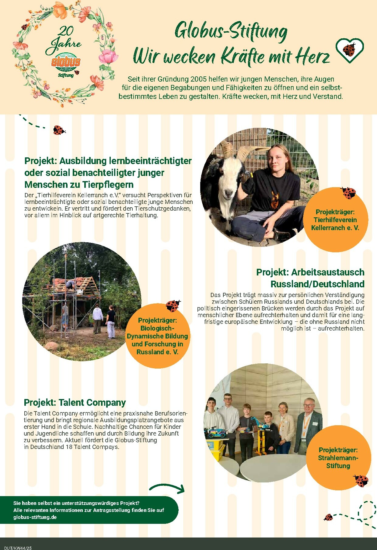 globus - Globus - Dutenhofen-Prospekt gültig vom 27.10. bis 01.11. - page: 33