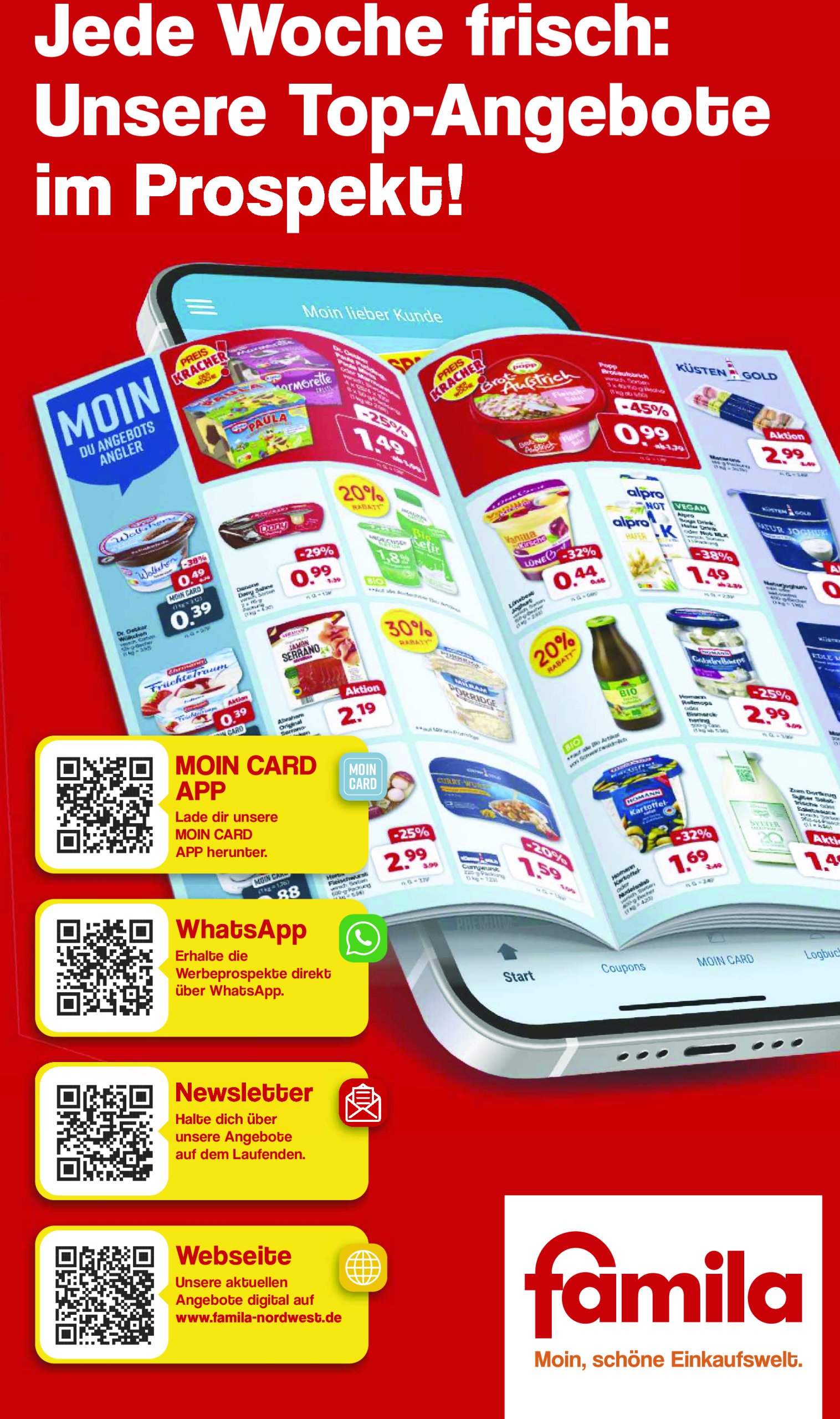 famila-nordwest - Famila Nordwest-Prospekt gültig vom 10.06. bis 14.06. - page: 13 famila-nordwest - Famila Nordwest-Prospekt gültig vom 10.06. bis 14.06. - page: 13