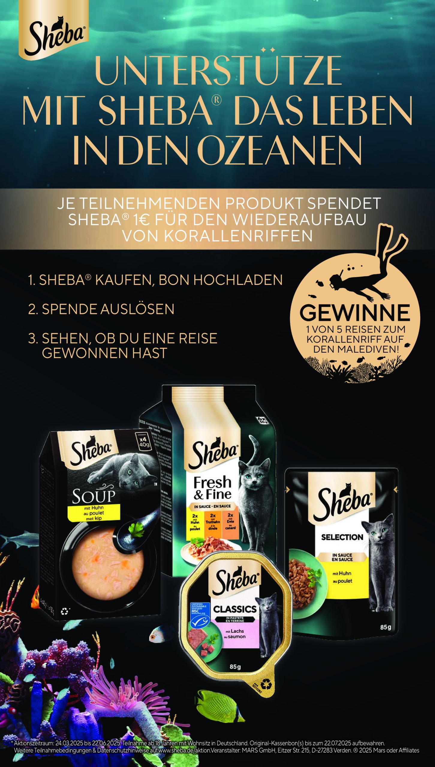 combi - Combi-Prospekt gültig von 19.05. bis 24.05. - page: 28