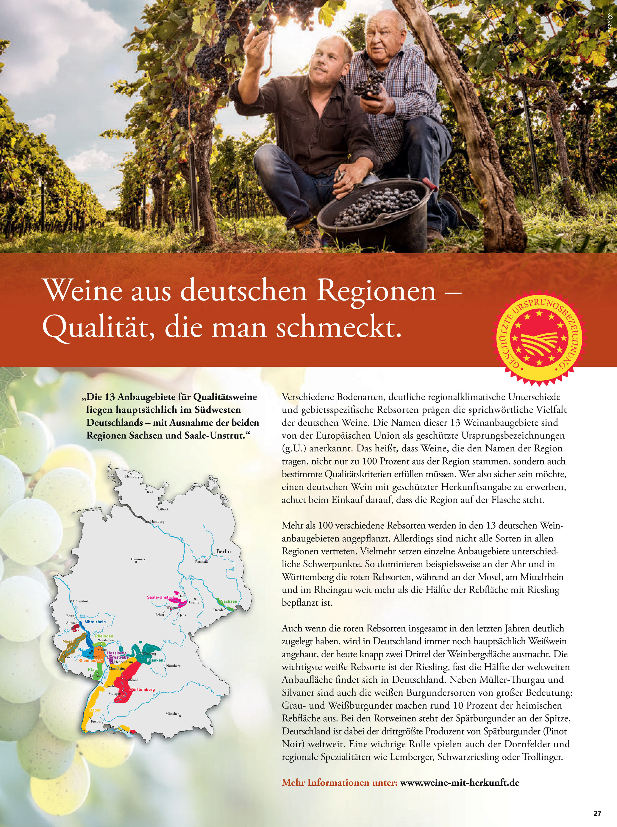 tegut - Tegut-Prospekt gültig vom 01.12. bis 06.12. - page: 29