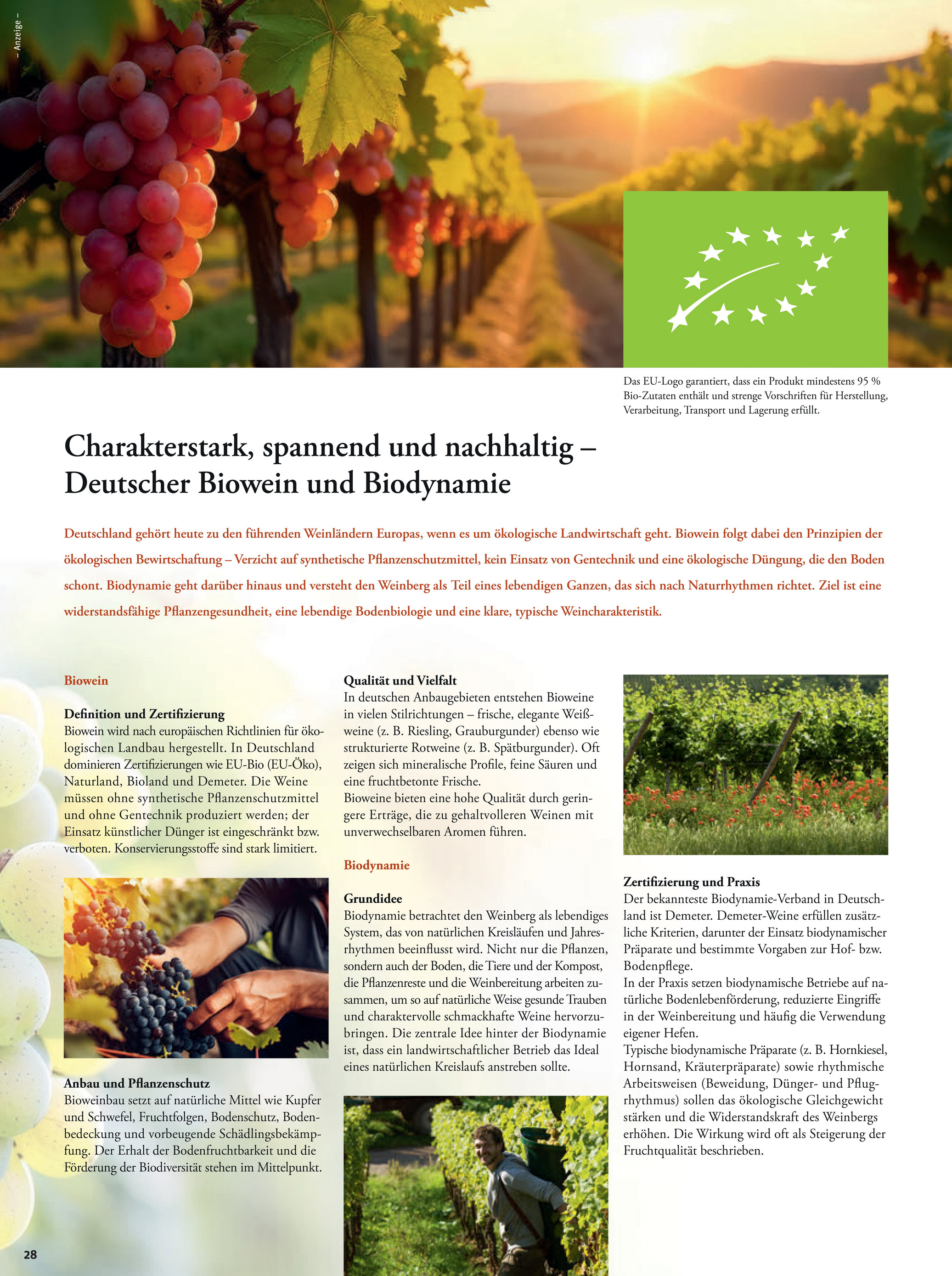 tegut - Tegut-Prospekt gültig vom 01.12. bis 06.12. - page: 30