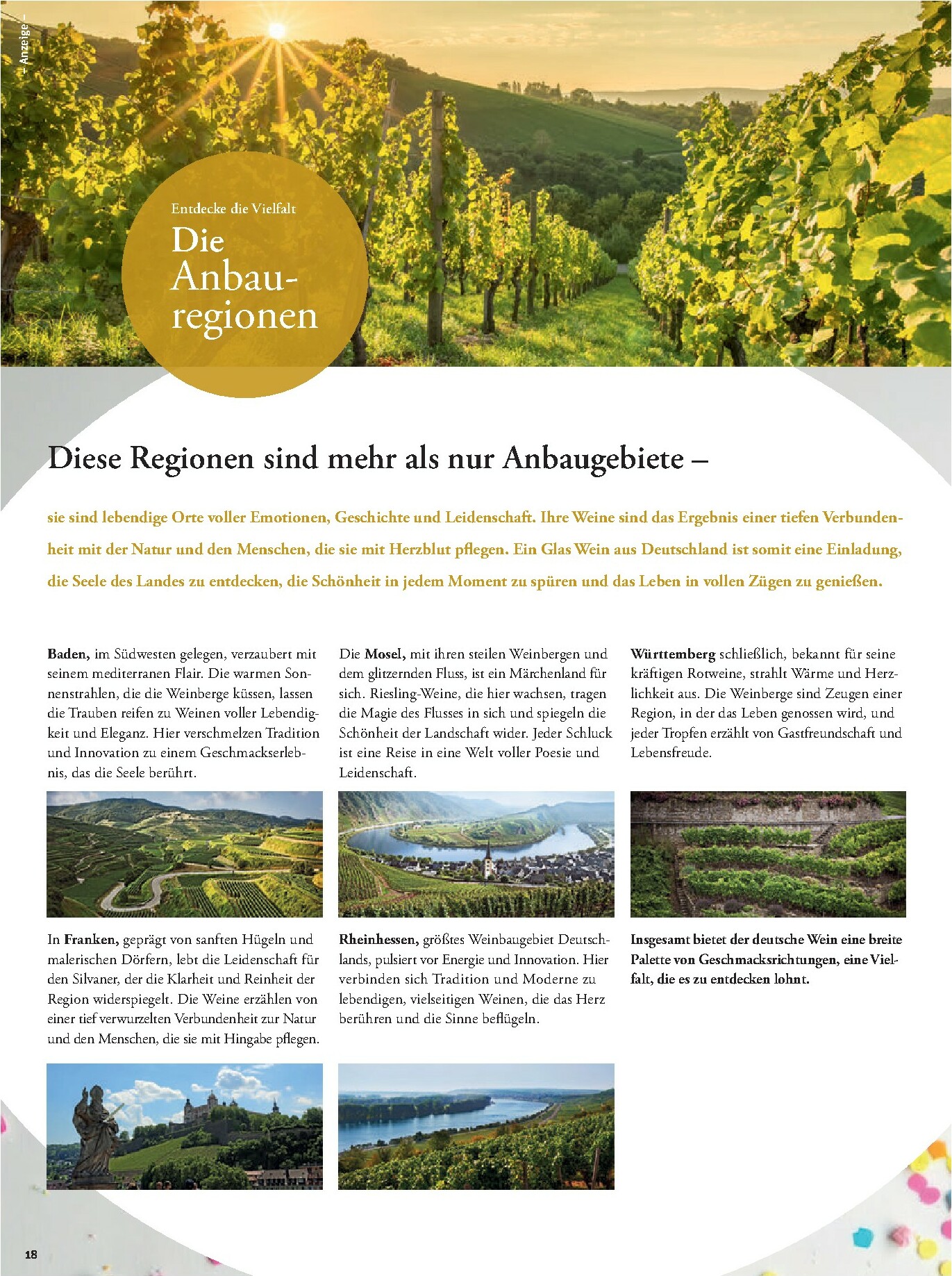 tegut - Tegut-Prospekt gültig vom 16.02.2026 bis 21.02.2026 - page: 20