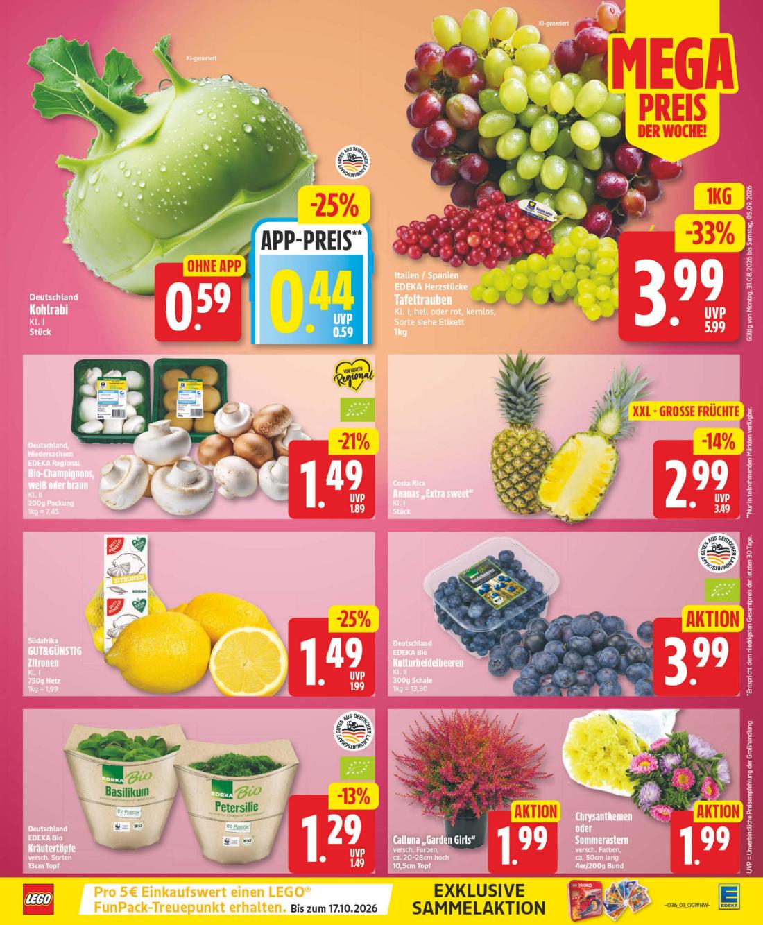 np - NP - Hessisch Oldendorf Prospekt nächste Woche – von Montag 31.08.2026 bis Samstag 05.09.2026 - page: 3