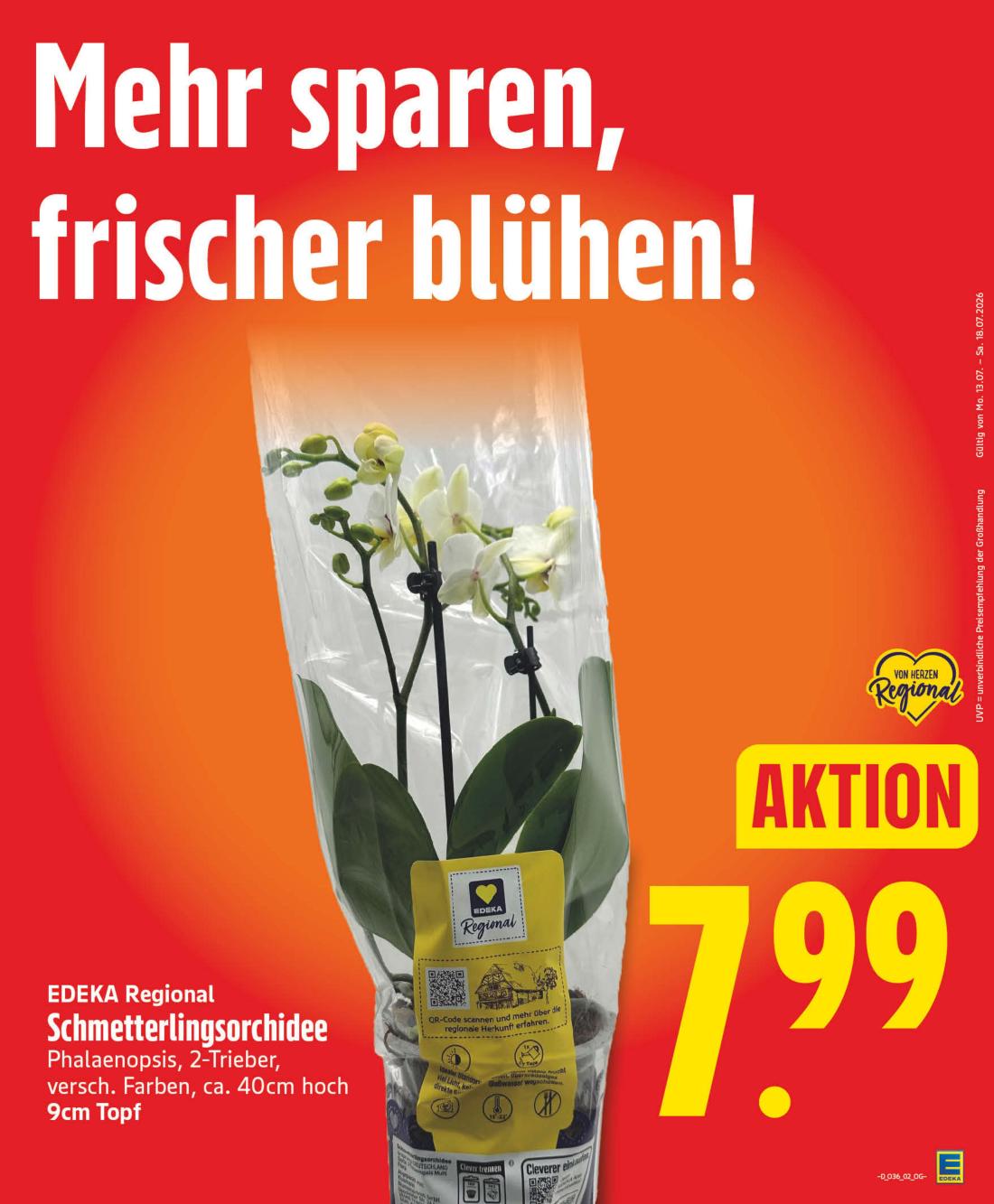 np - NP - Hessisch Oldendorf Prospekt nächste Woche – von Montag 31.08.2026 bis Samstag 05.09.2026 - page: 5