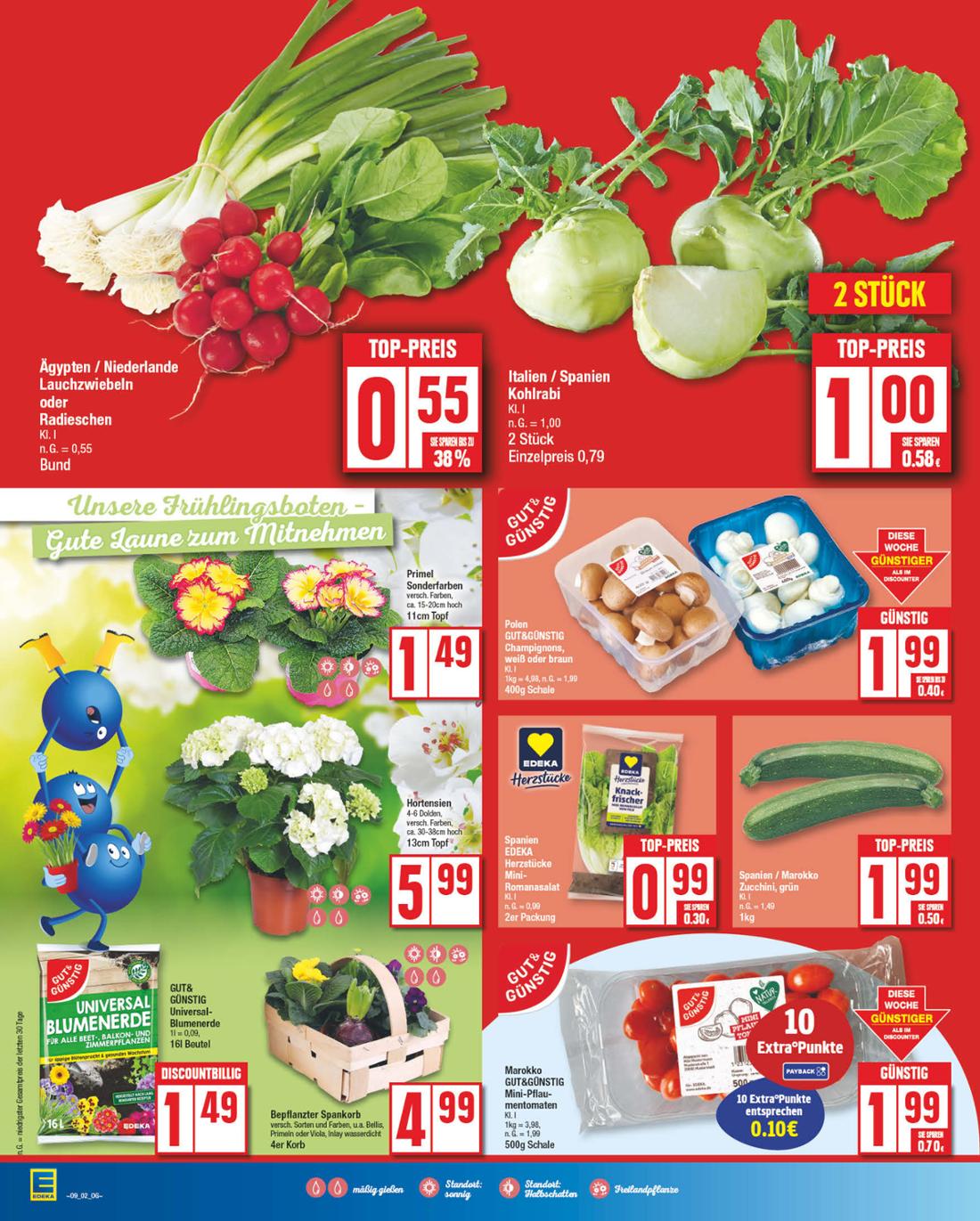 np - NP - Edeka - Hessisch Oldendorf-Prospekt gültig von 24.02. bis 01.03. - page: 6