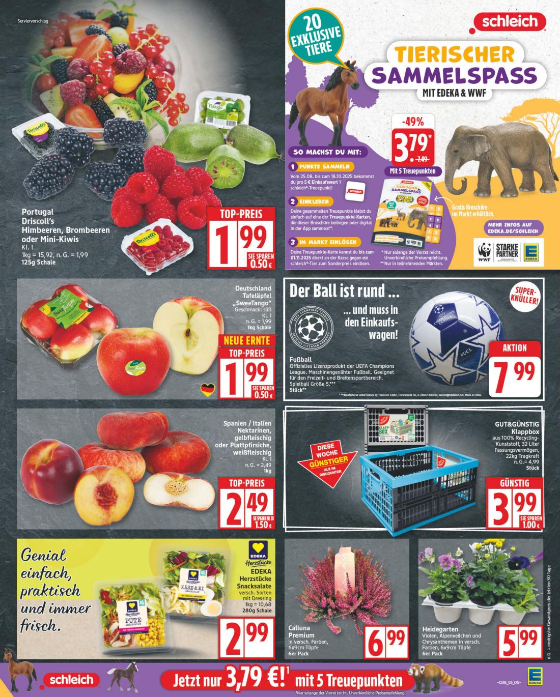 np - NP - Edeka - Ronnenberg-Prospekt gültig vom 15.09. bis 20.09. - page: 5