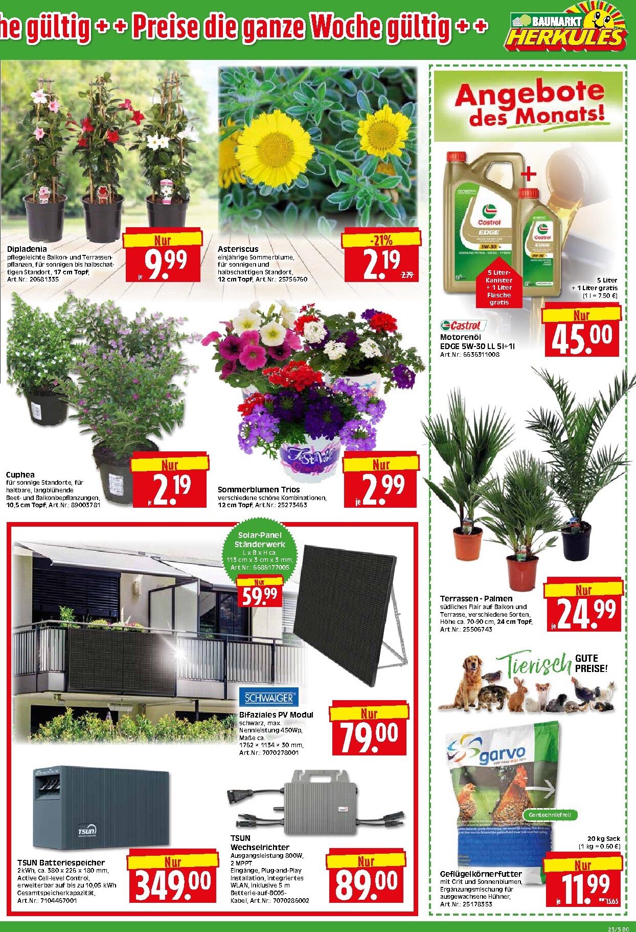 herkules - Herkules - Bau & Garten Prospekt nächste Woche – von Montag 01.06.2026 bis Samstag 06.06.2026 - page: 5