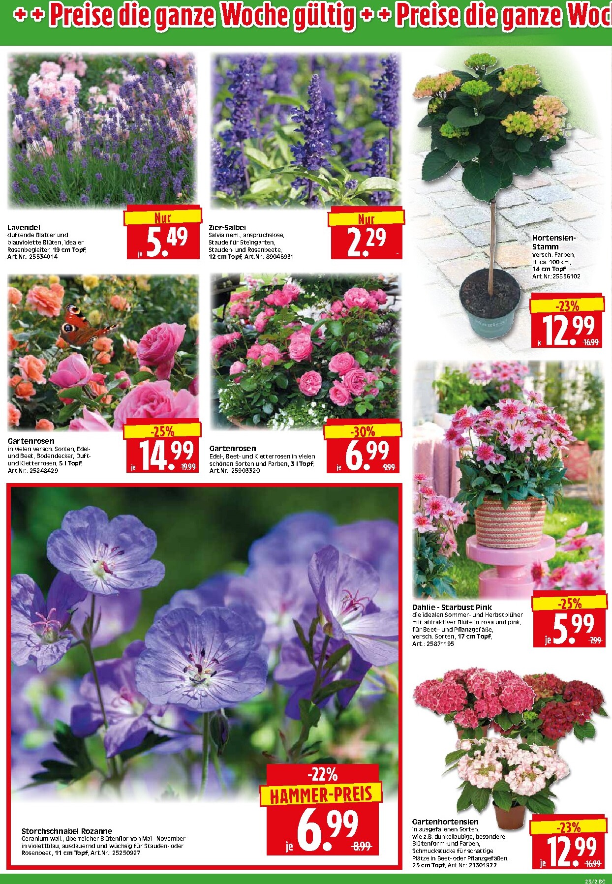 herkules - Herkules - Bau & Garten Prospekt nächste Woche – von Montag 01.06.2026 bis Samstag 06.06.2026 - page: 2