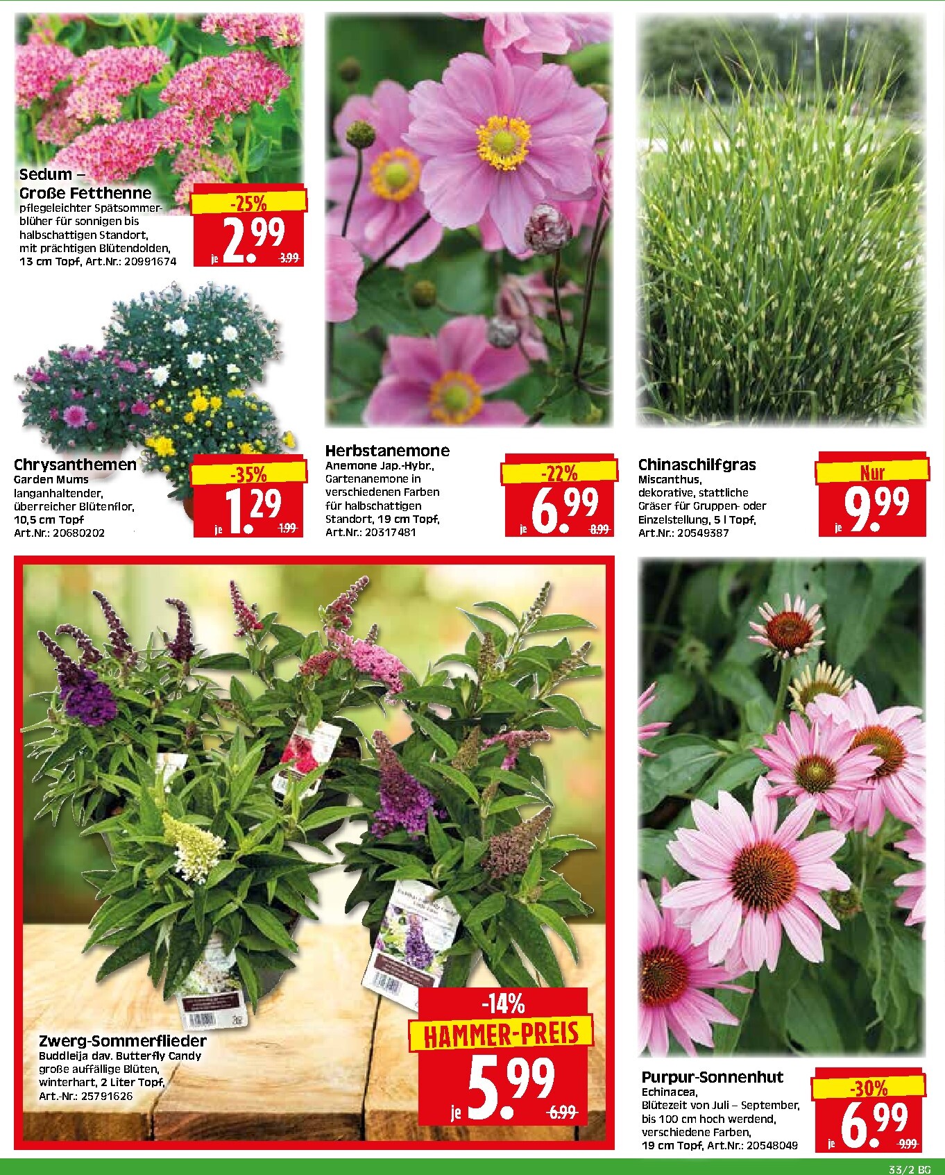 herkules - Herkules - Bau & Garten Prospekt – von Montag 10.08.2026 bis Samstag 15.08.2026 - page: 2
