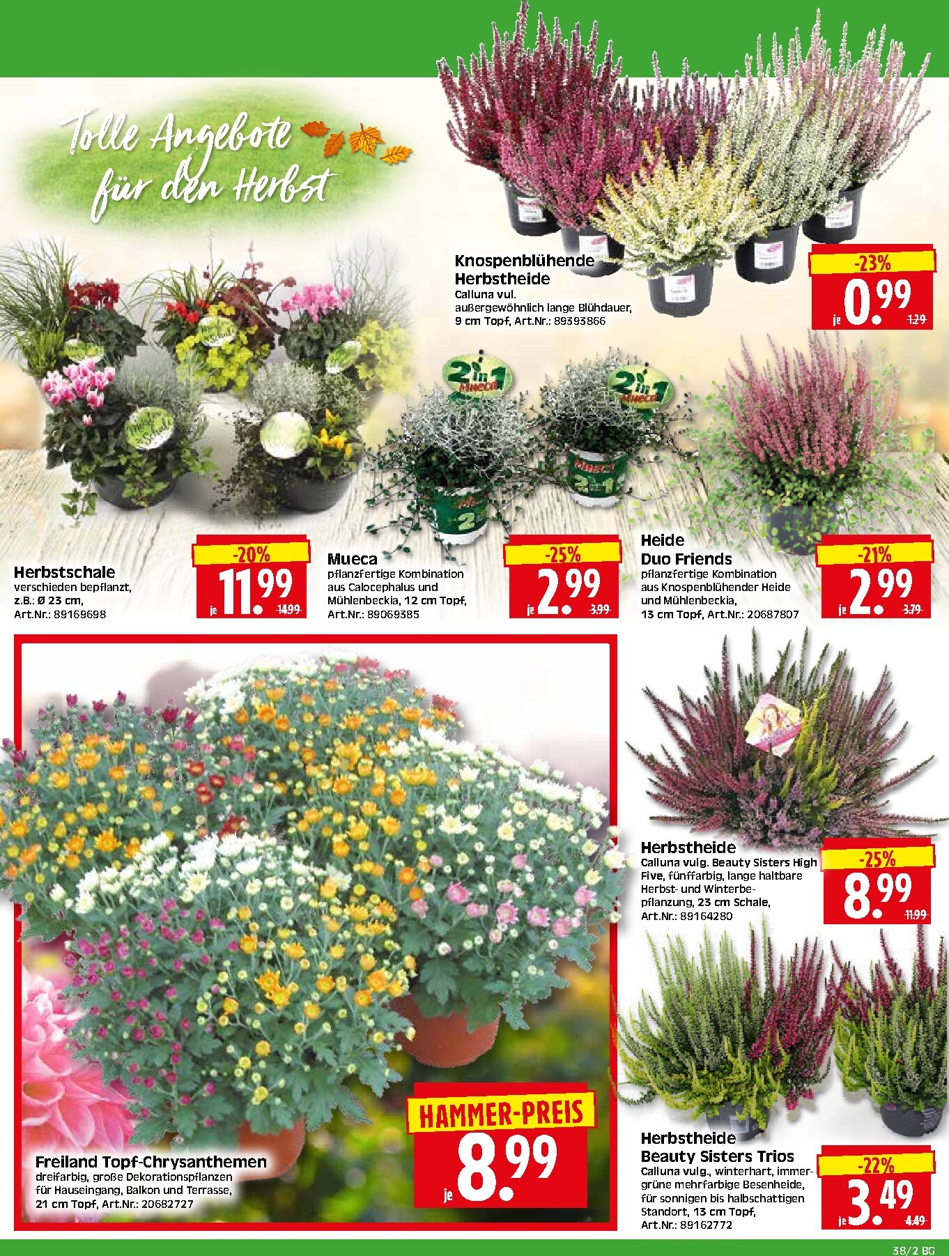 herkules - Herkules - Bau & Garten Prospekt nächste Woche – von Montag 14.09.2026 bis Samstag 19.09.2026 - page: 2