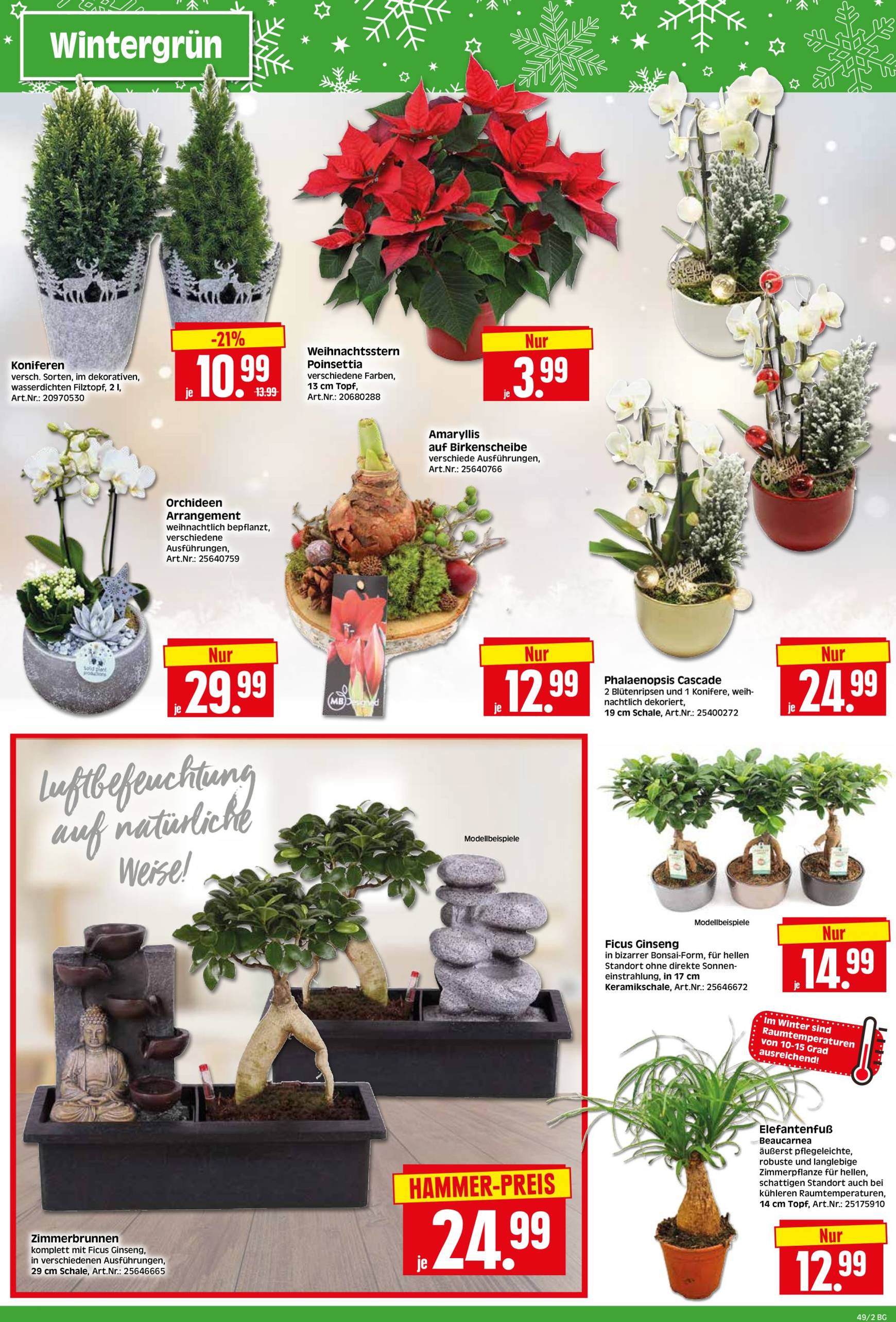 herkules - Herkules - Bau & Garten-Prospekt gültig von 02.12. bis 07.12. - page: 2